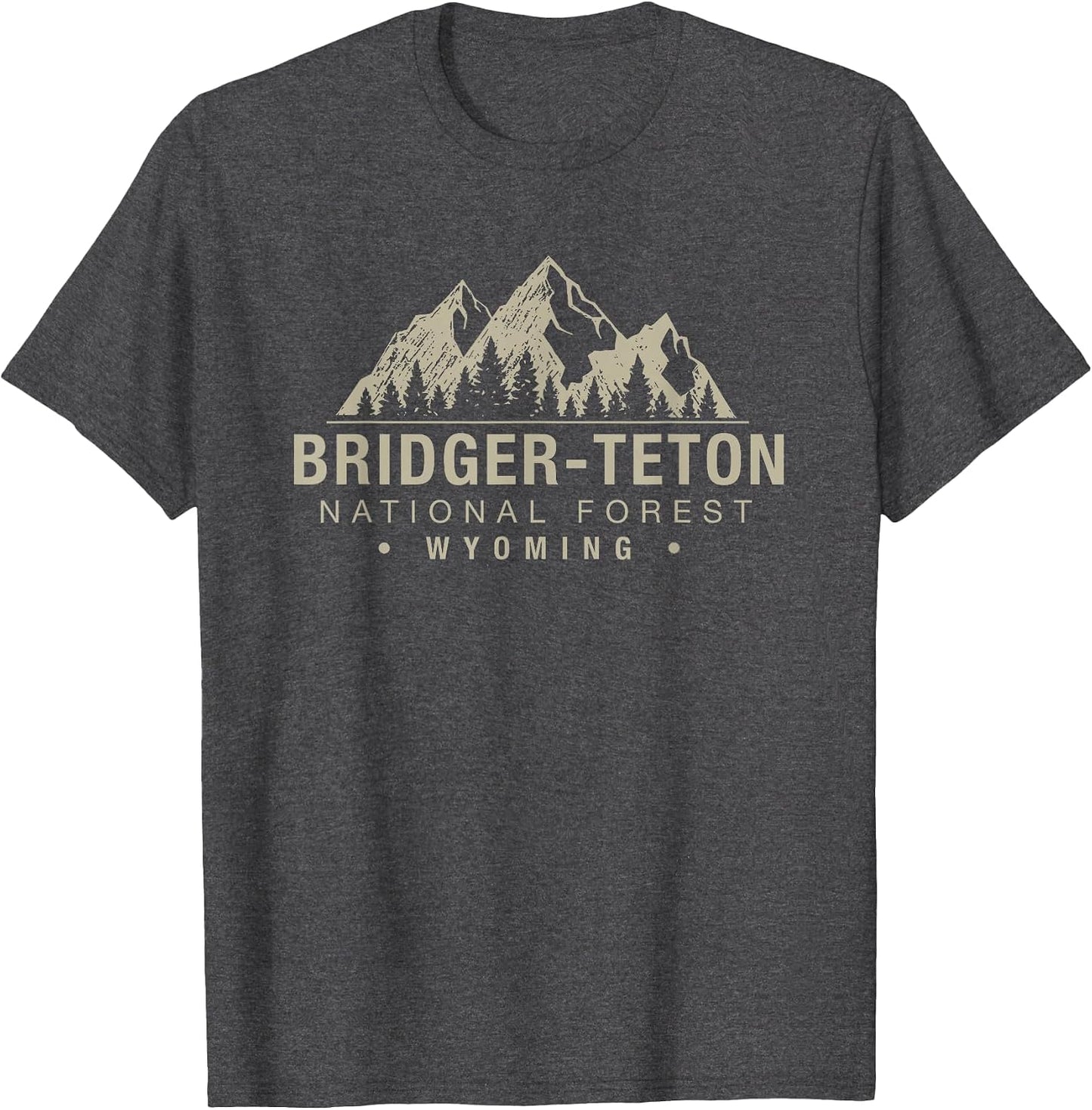 Bridger-Teton National Forest Wyoming