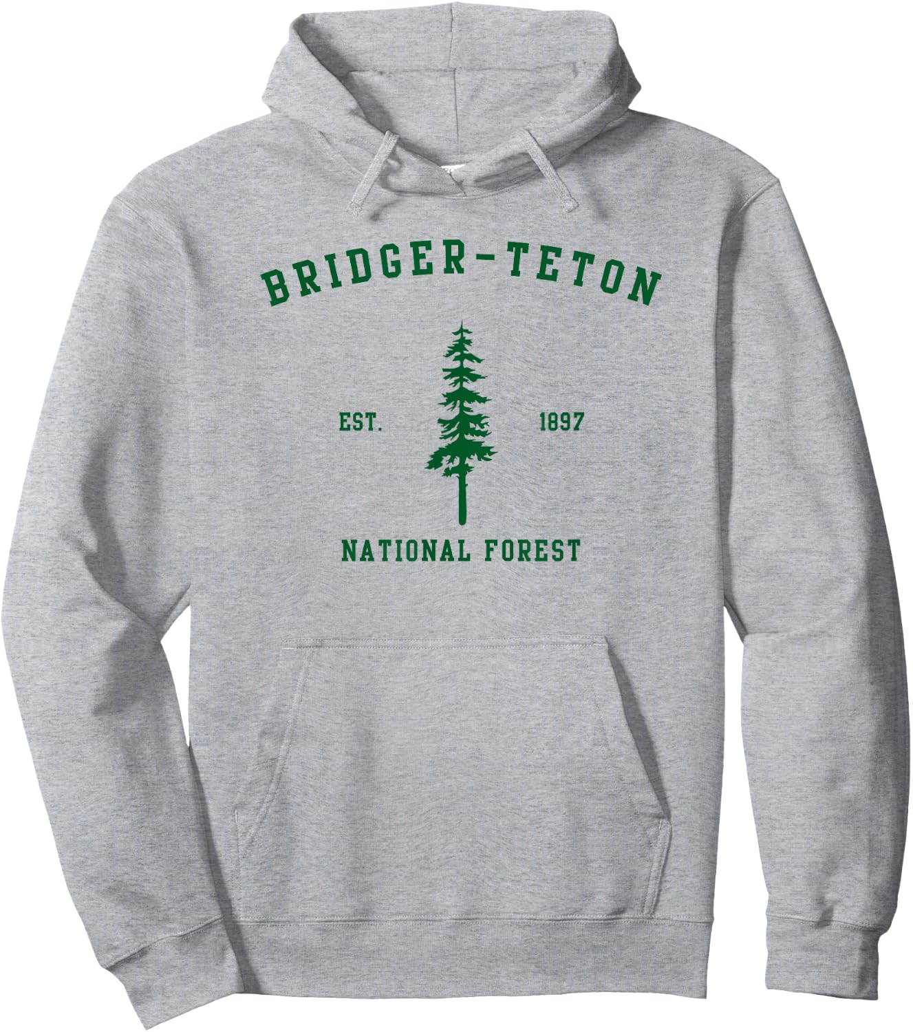 Bridger-Teton National Forest Explore Wyoming Hoodie - Hoodie | Ash