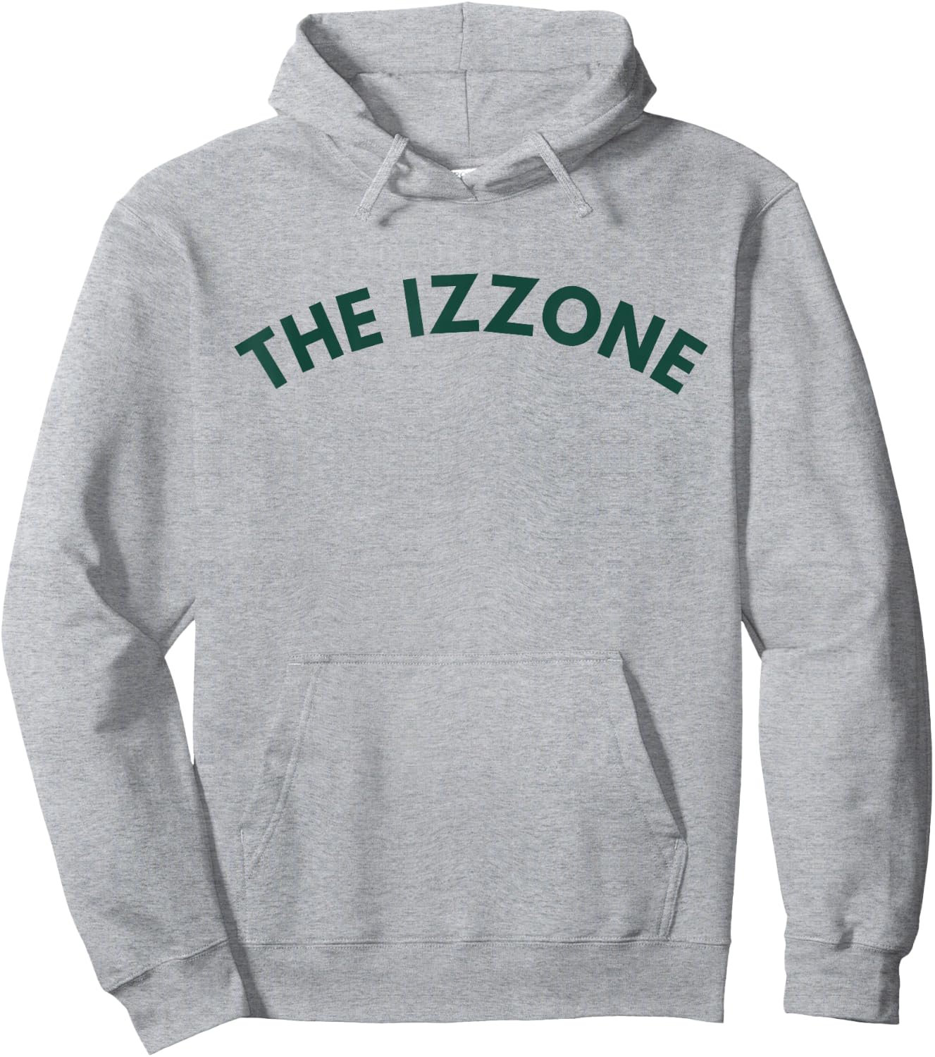 Michigan MI State Athletics The Izzone Hoodie - Hoodie | Ash