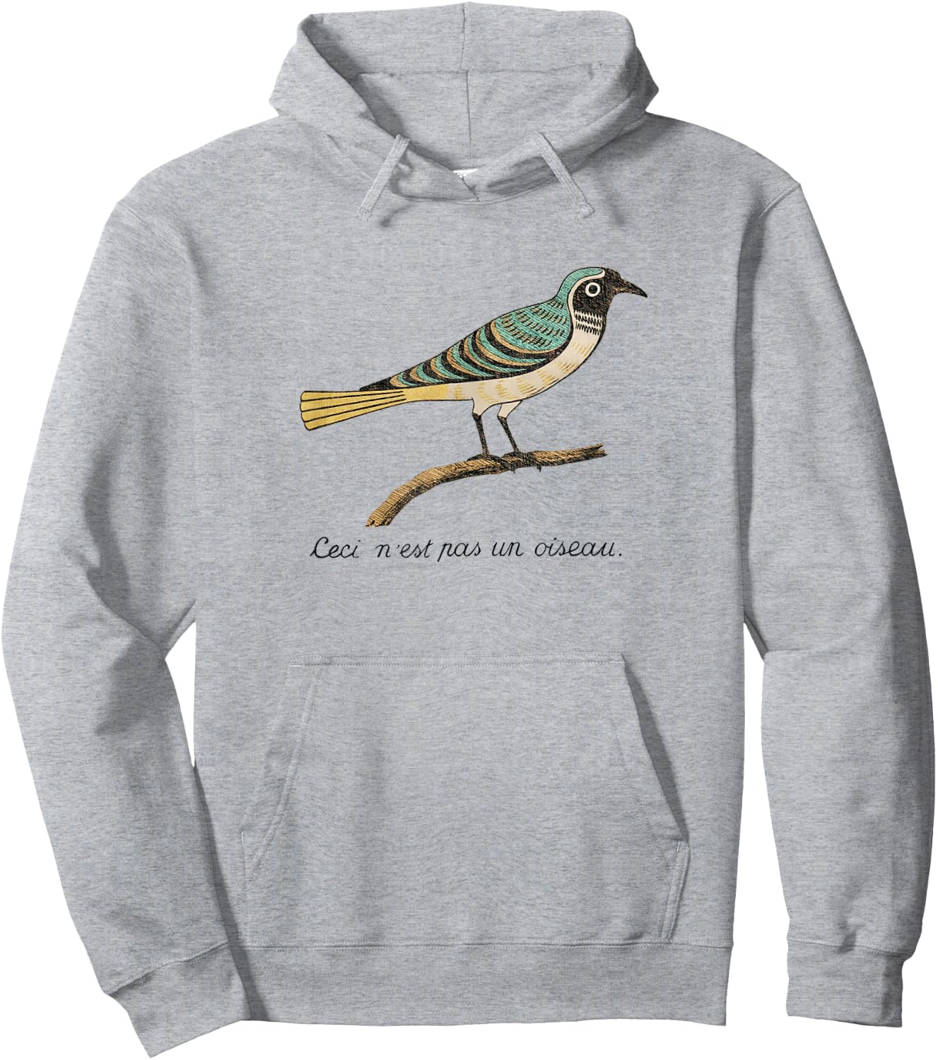Birds Aren't Real - Ceci n'est pas un oiseau Hoodie - Hoodie | Ash