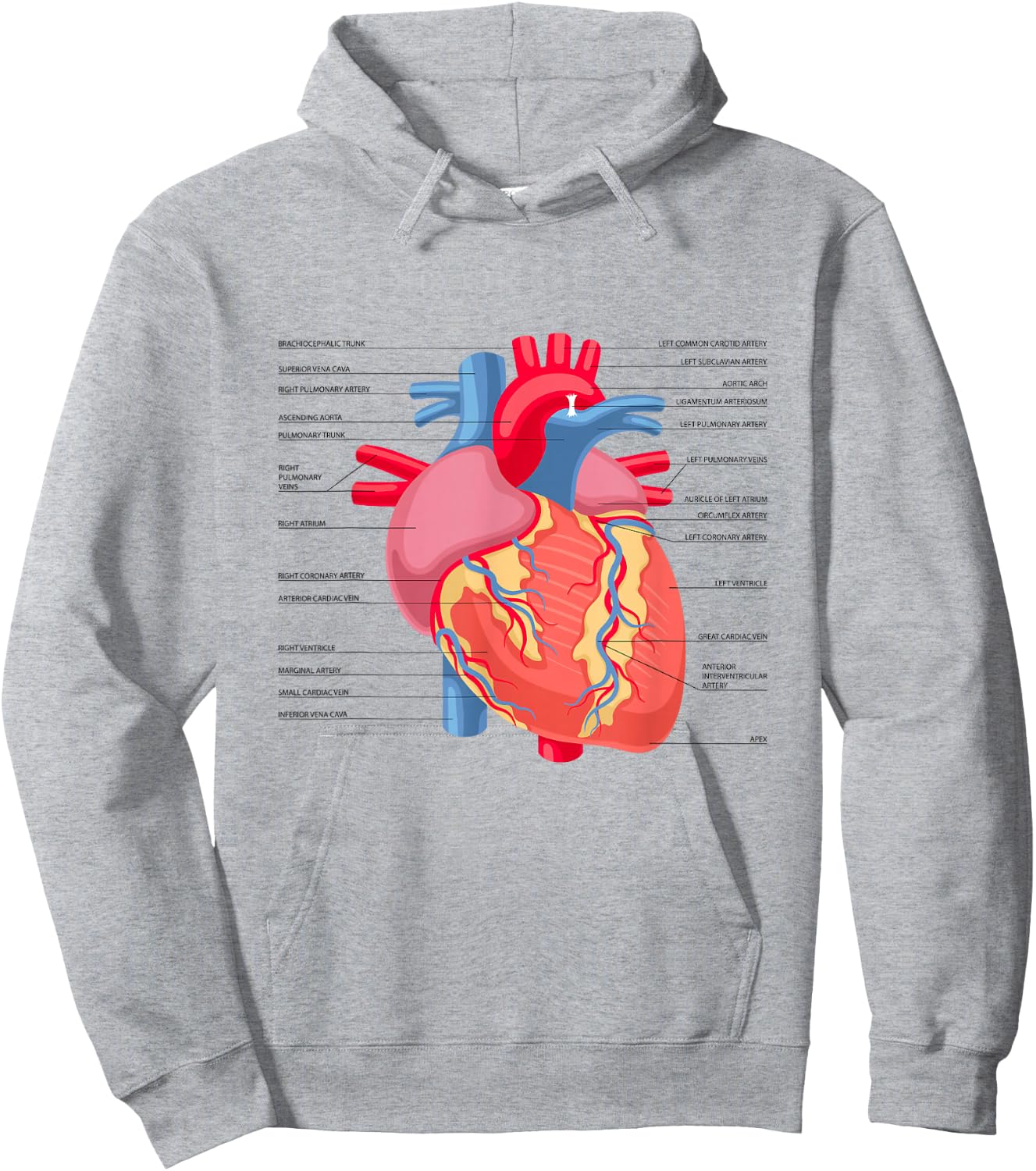 Funny Human Heart Anatomy Anatomical Heart Hoodie - Hoodie | Ash