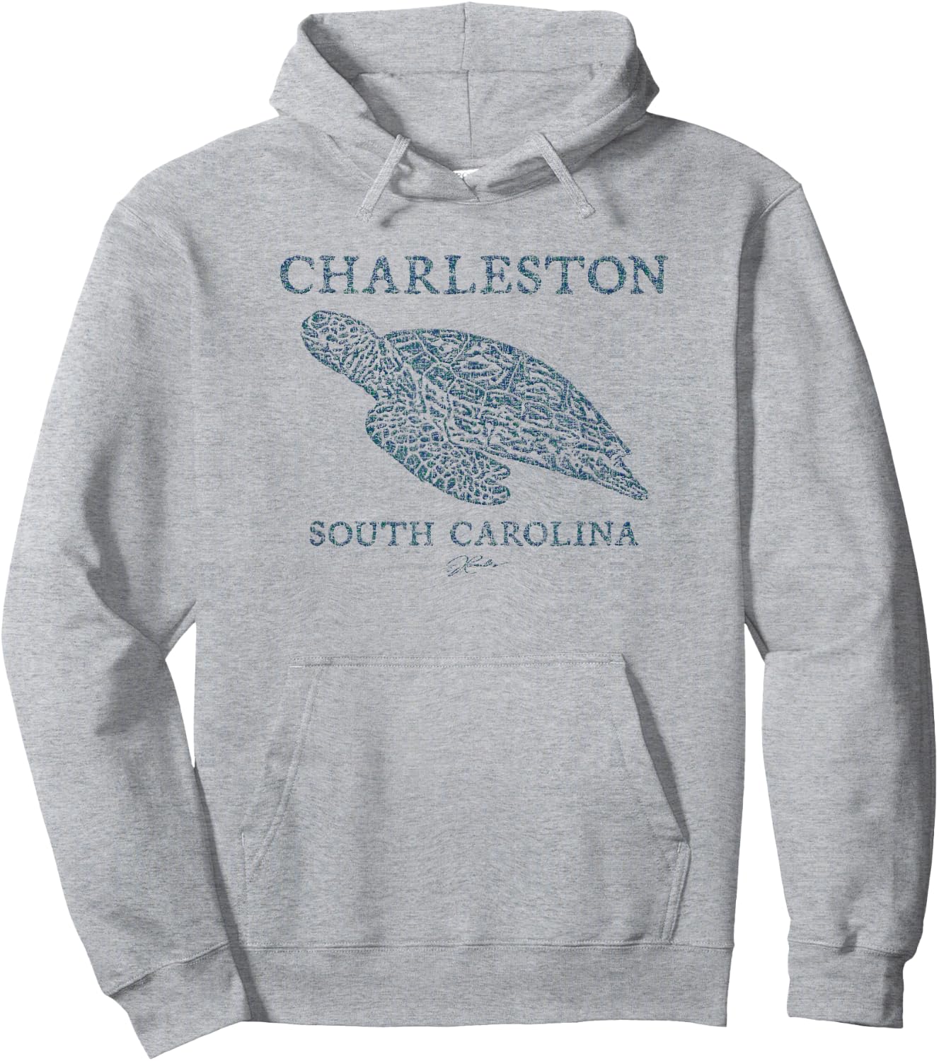 JCombs: Charleston, SC, Gliding Sea Turtle Hoodie - Hoodie | Ash