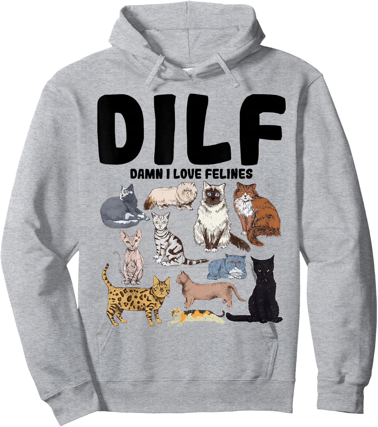 DILF Damn I Love Felines Funny Cat Lover Hoodie - Hoodie | Ash