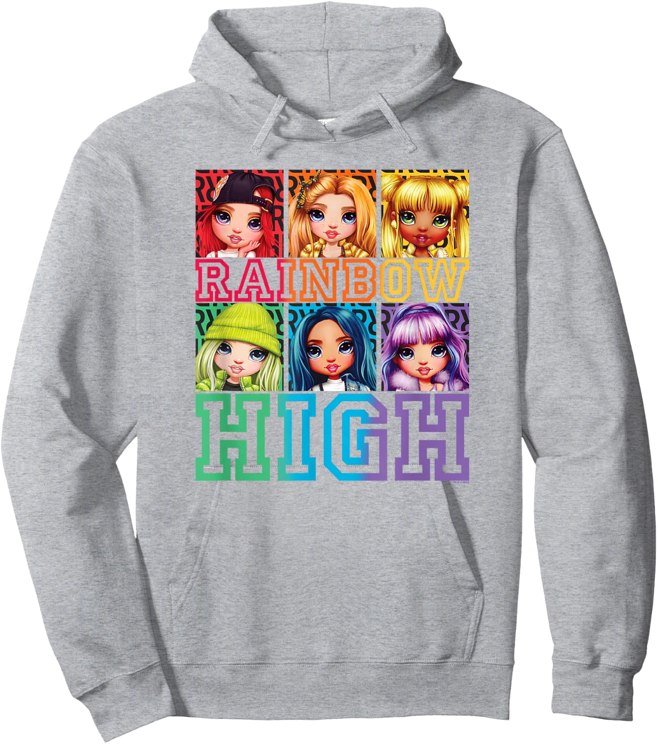 Rainbow High Group Box Up Poster Small Hoodie - Hoodie | Ash