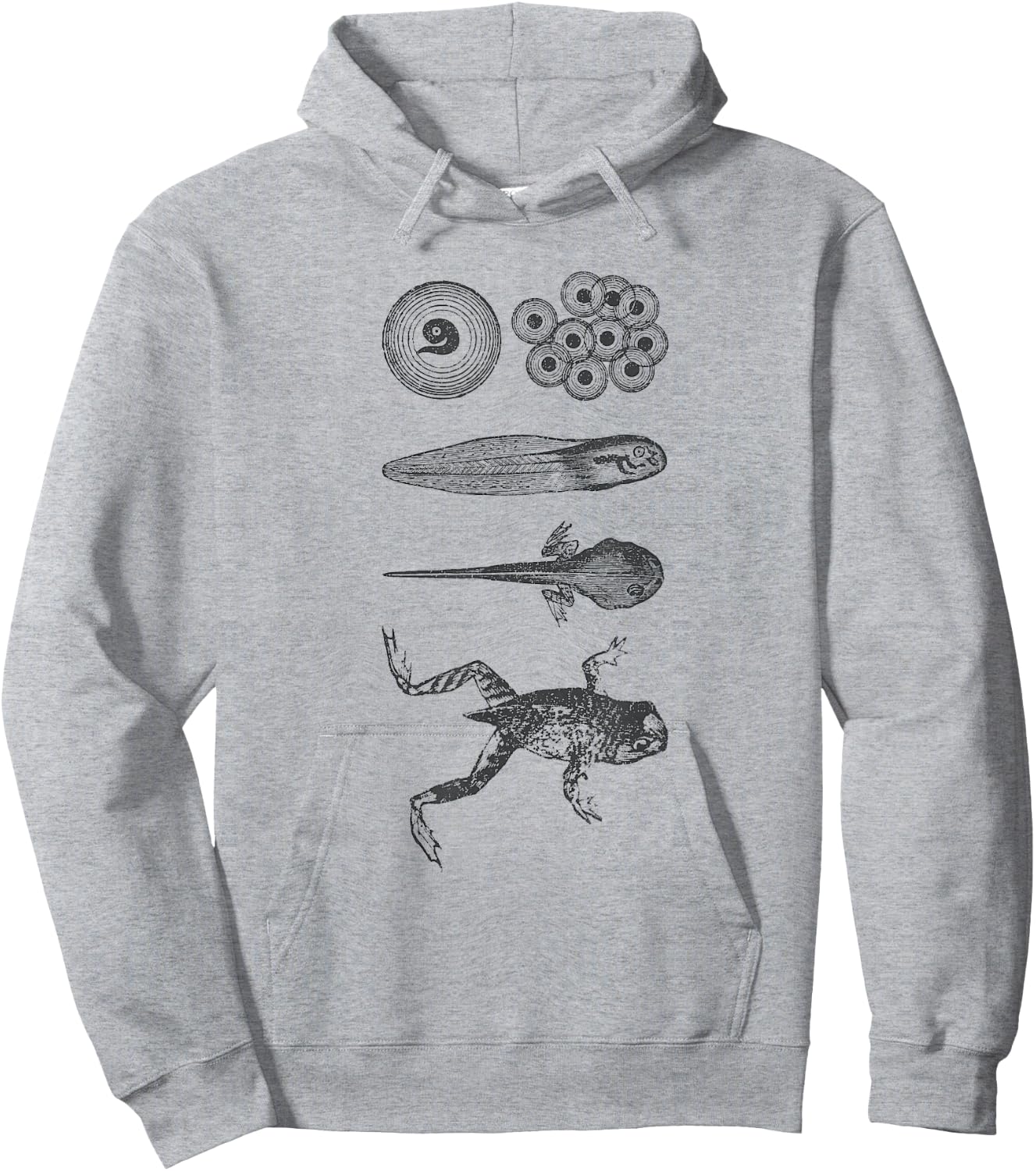 Frog Tadpole Metamorphosis Life Cycle Biology Hoodie - Hoodie | Ash