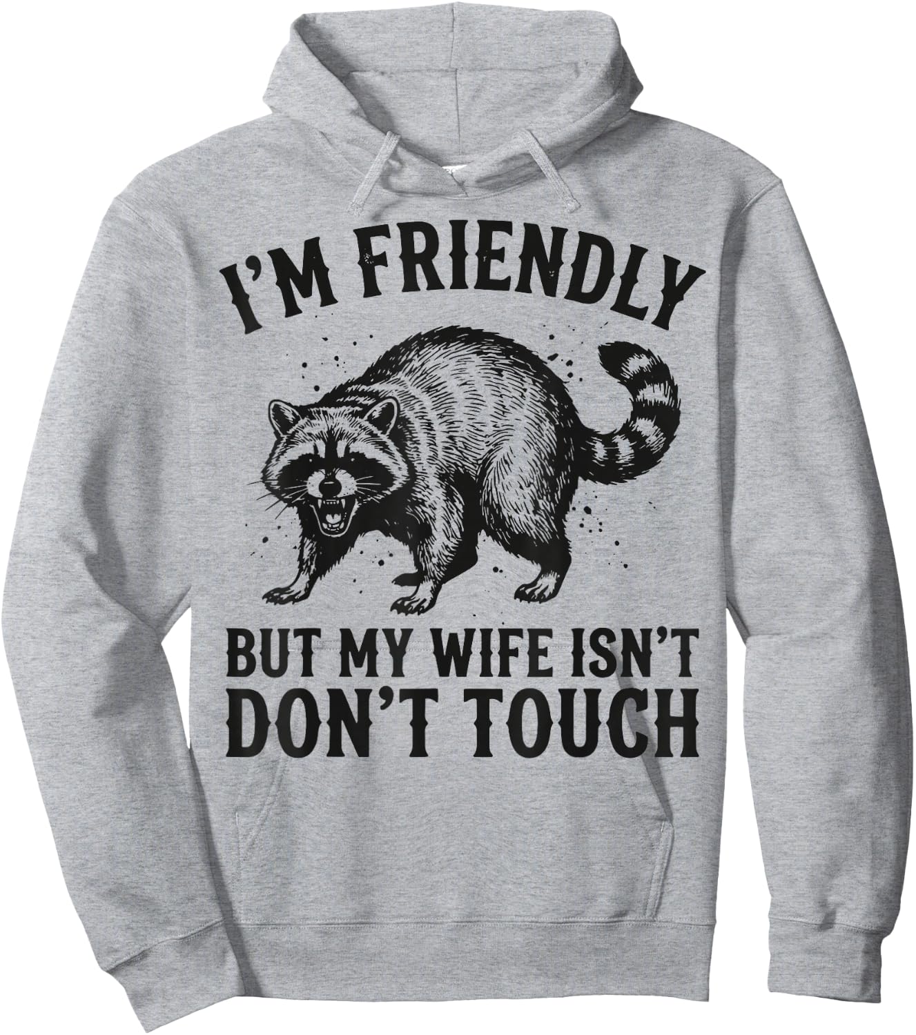 I'm Friendly But My Wife Isn't Don't Touch Hoodie - Hoodie | Ash