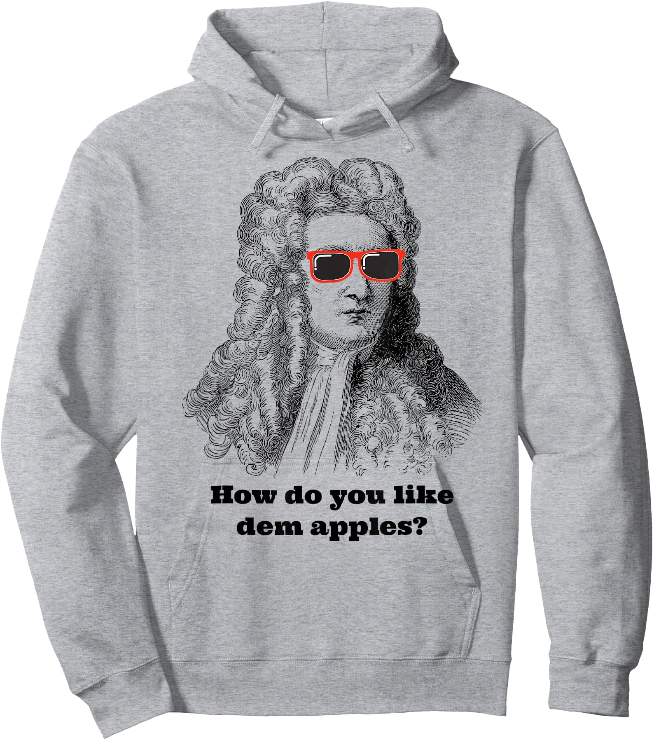 Sir Isaac Newton Funny Apple Gravity Hoodie - Hoodie | Ash