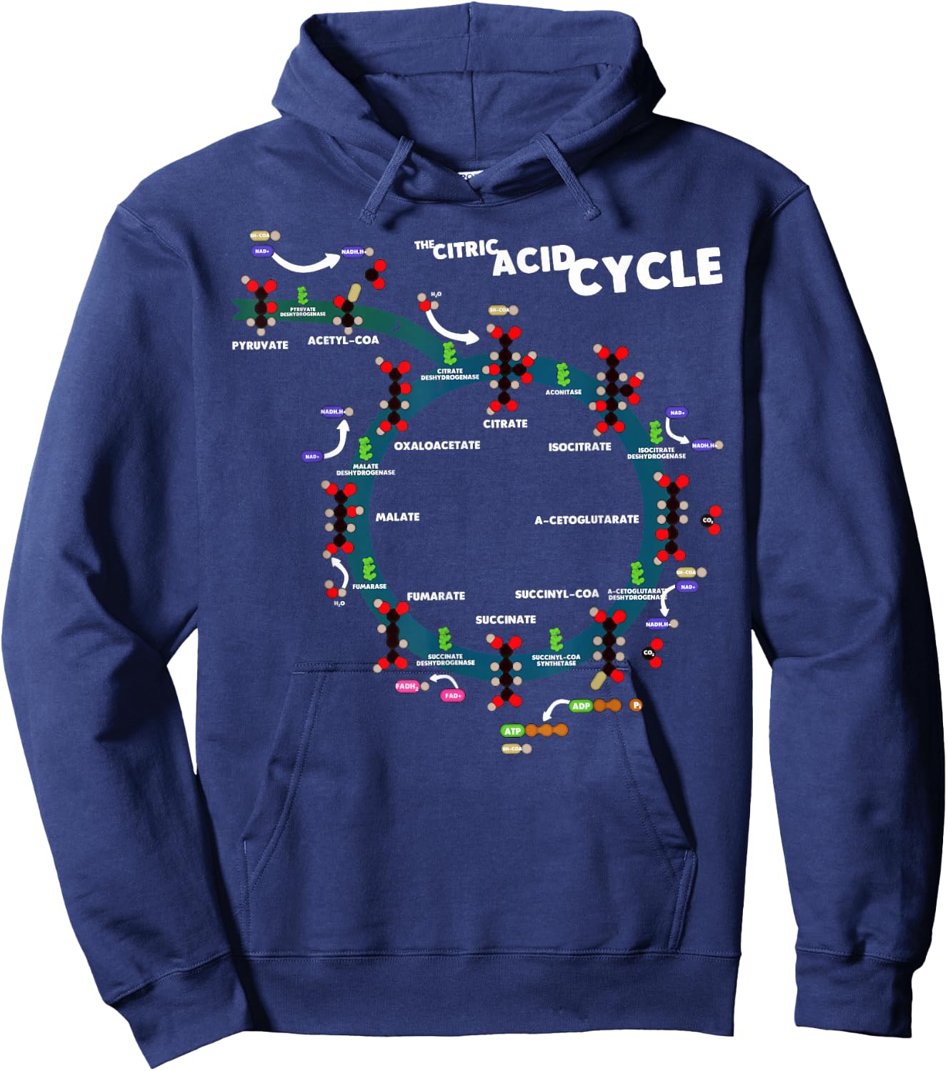 The citric acid cycle Hoodie - Hoodie | Navy