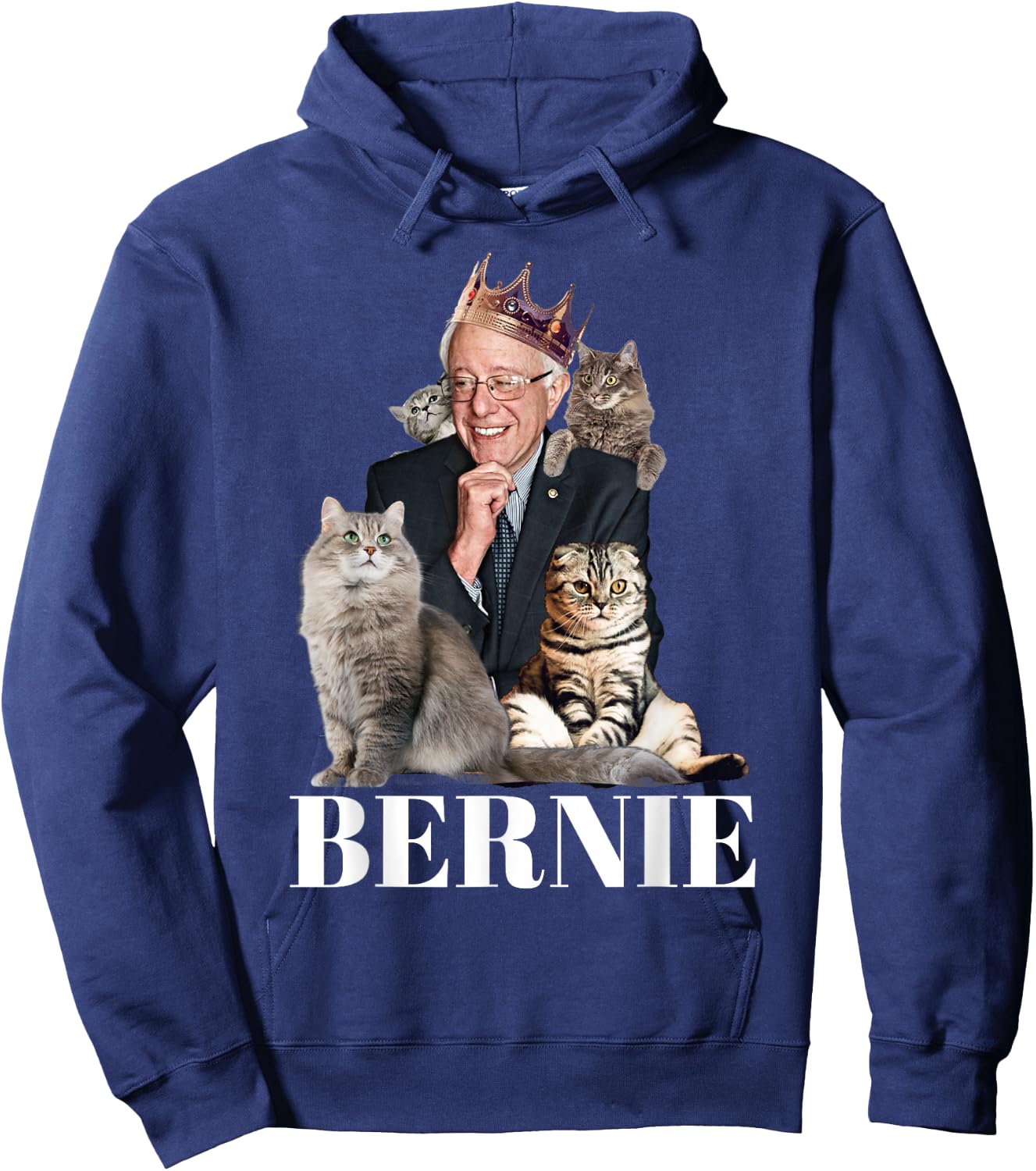 Bernie Sanders Funny Cat Gift Hoodie - Hoodie | Navy