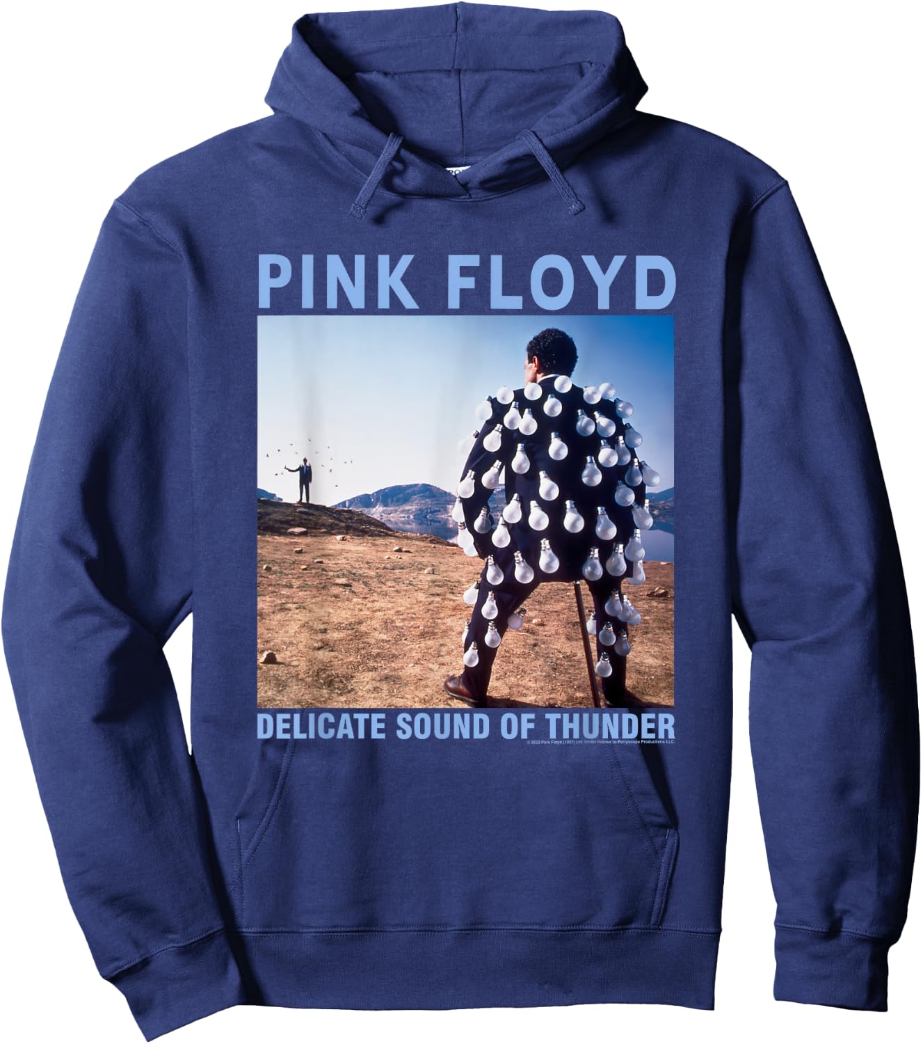 Pink Floyd Delicate Sound Hoodie - Hoodie | Navy