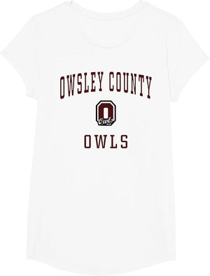Owsley County High School Owls