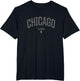 Chicago Illinois Vintage Distressed Illinois Chicago