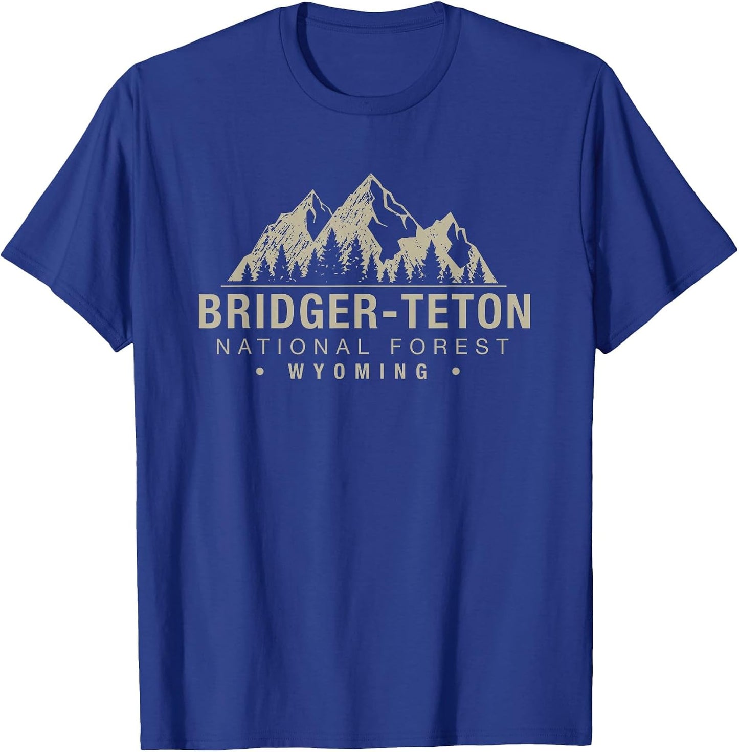 Bridger-Teton National Forest Wyoming
