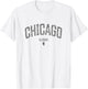 Chicago Illinois Vintage Distressed Illinois Chicago