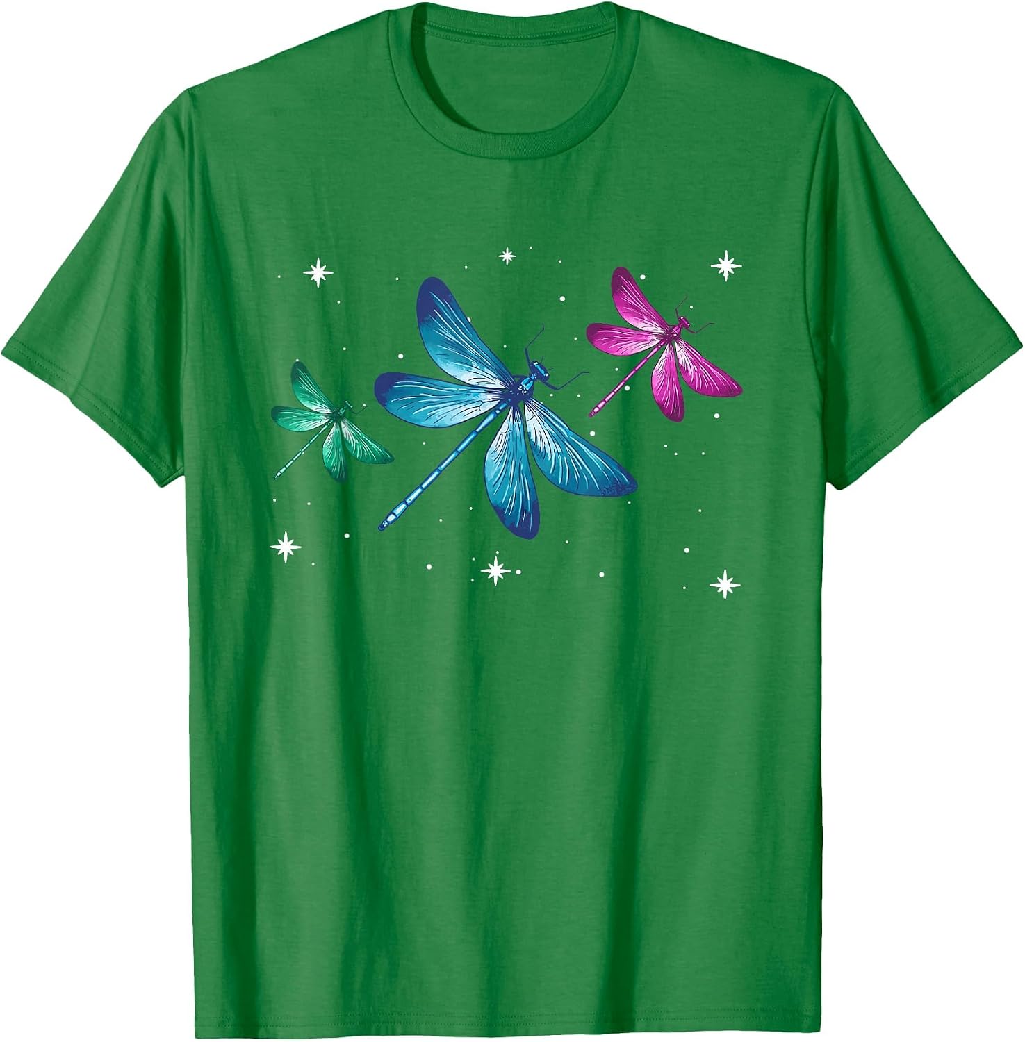 Dragonfly Inspirational Spiritual Animal