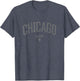 Chicago Illinois Vintage Distressed Illinois Chicago