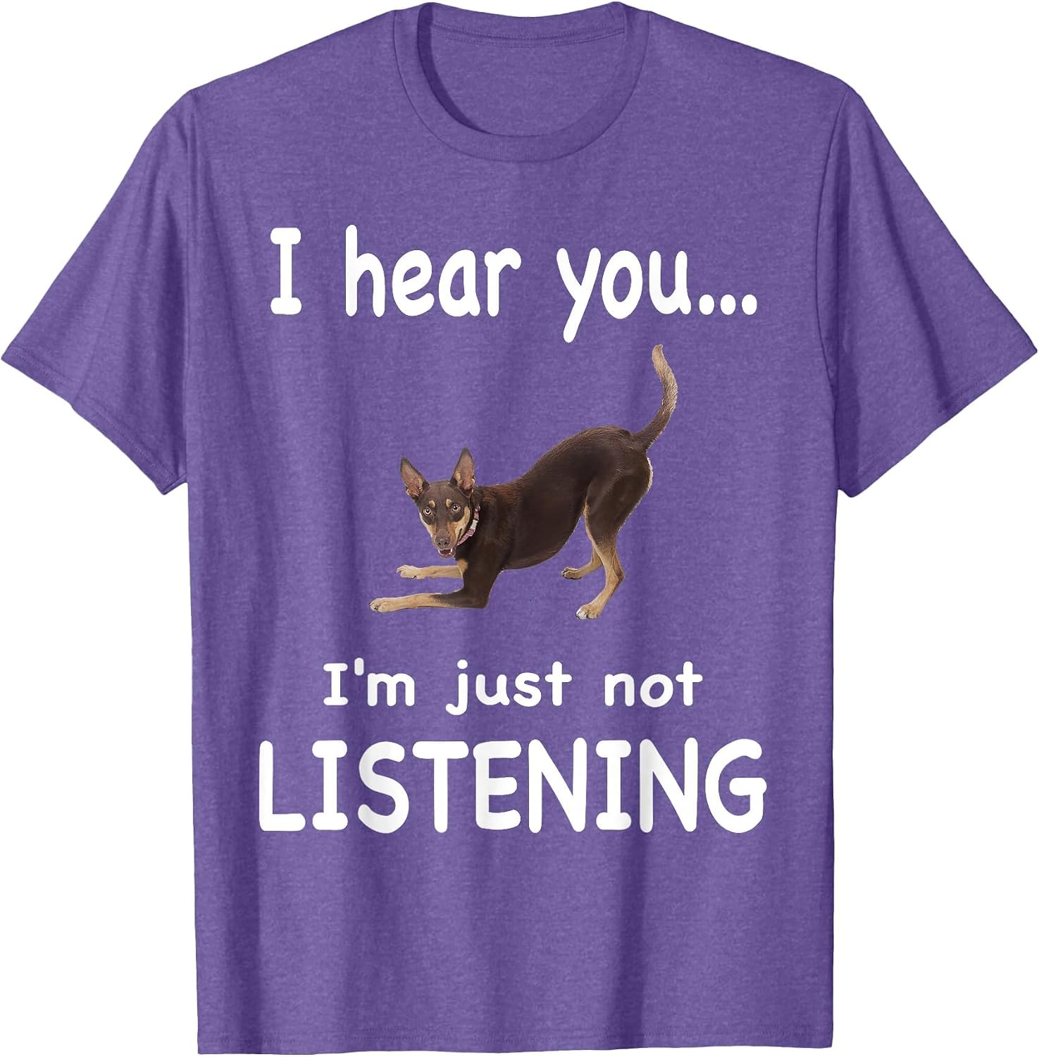 Kelpie Dog - Kelpie