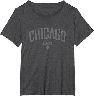 Chicago Illinois Vintage Distressed Illinois Chicago