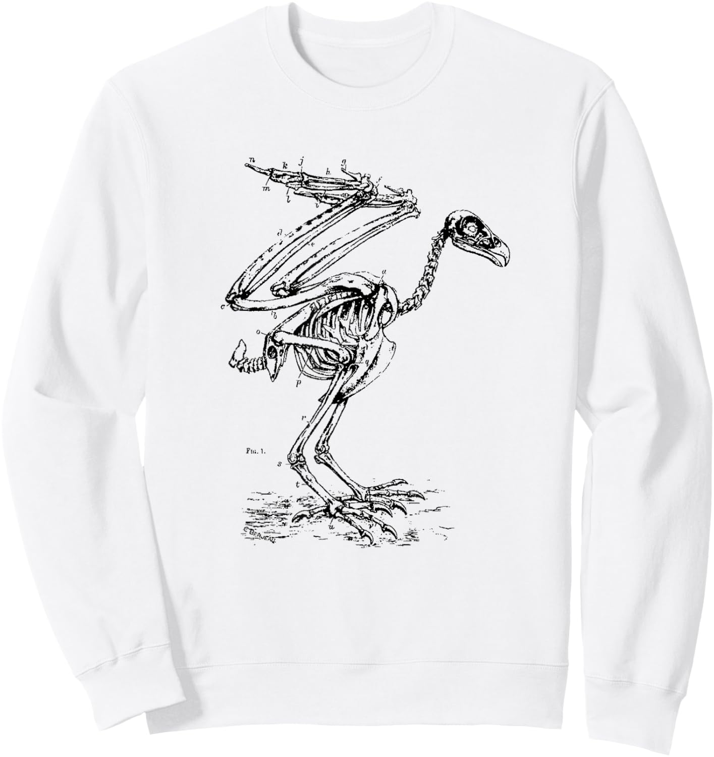 Vintage Eagle Skeleton - Scientific Diagram Bird Skull Sweatshirt - Sweatshirt | White
