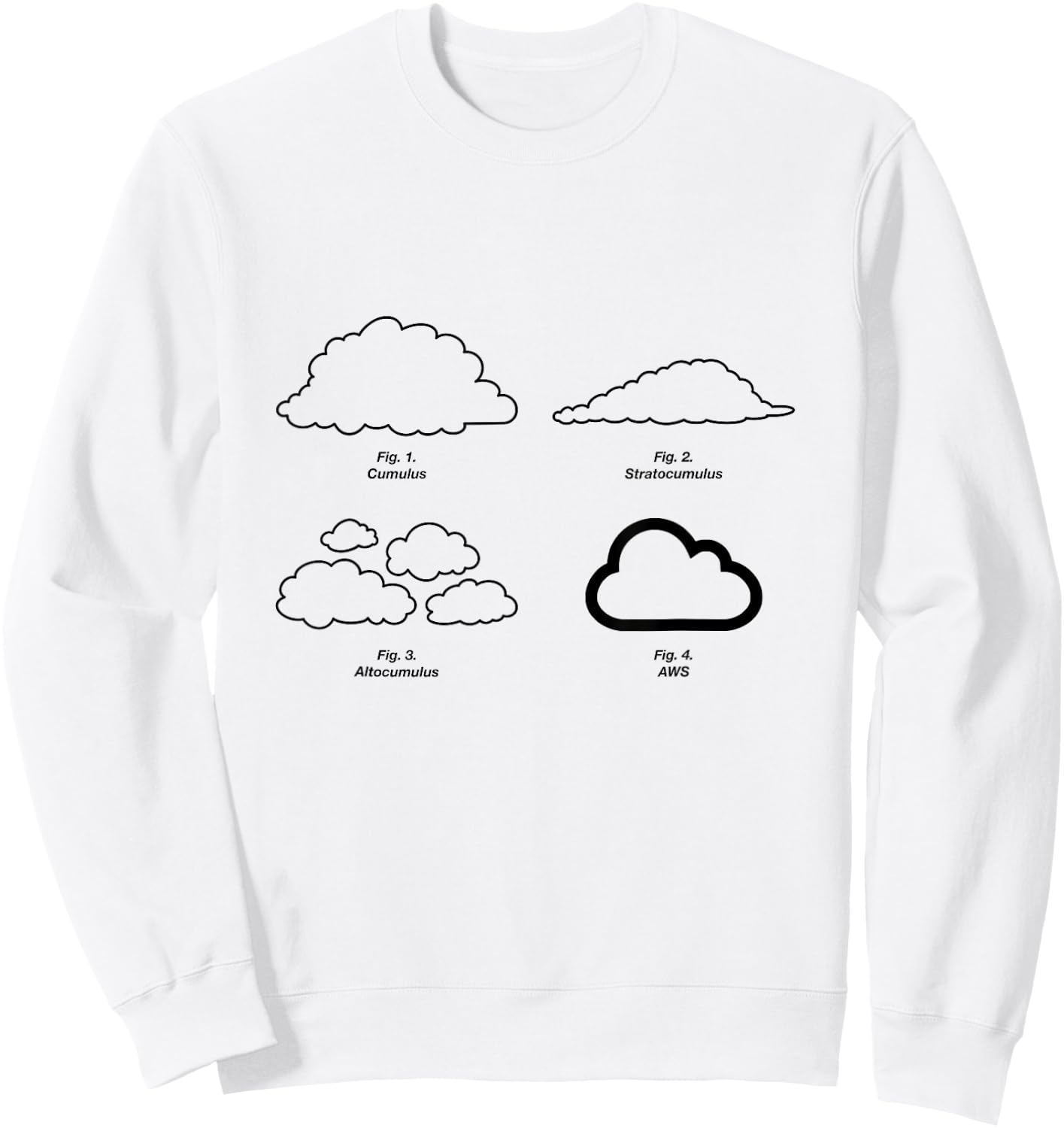 Types of Clouds Diagram - Cloud Server, AWS, Science - Funny Sweatshirt - Sweatshirt | White