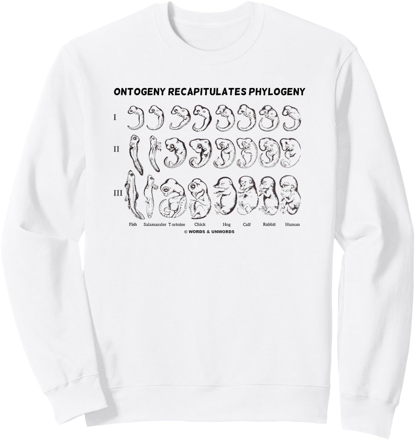 Ontogeny Recapitulates Phylogeny Ernest Haeckel Evolution Sweatshirt - Sweatshirt | White