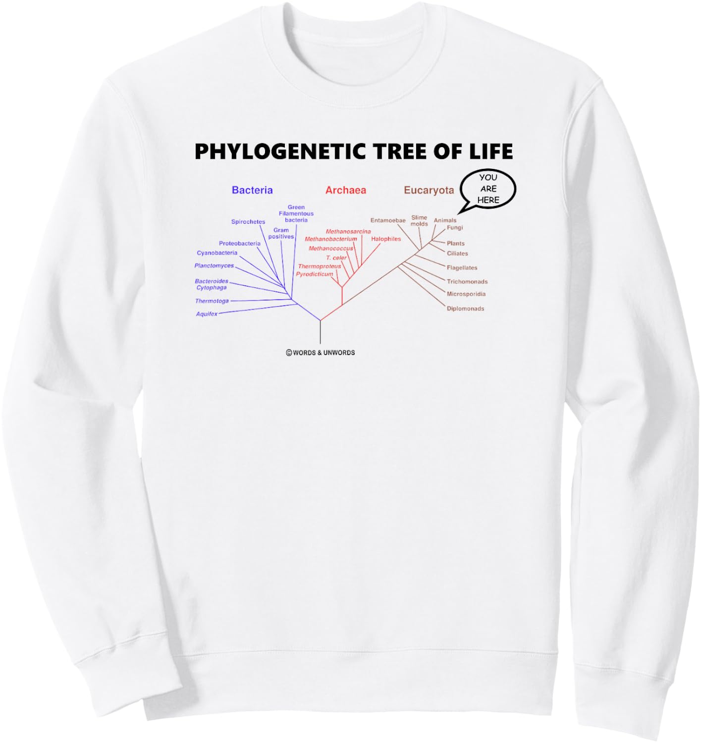 Phylogenetic Tree Of Life You Are Here Biology Geek Humor Sweatshirt - Sweatshirt | White