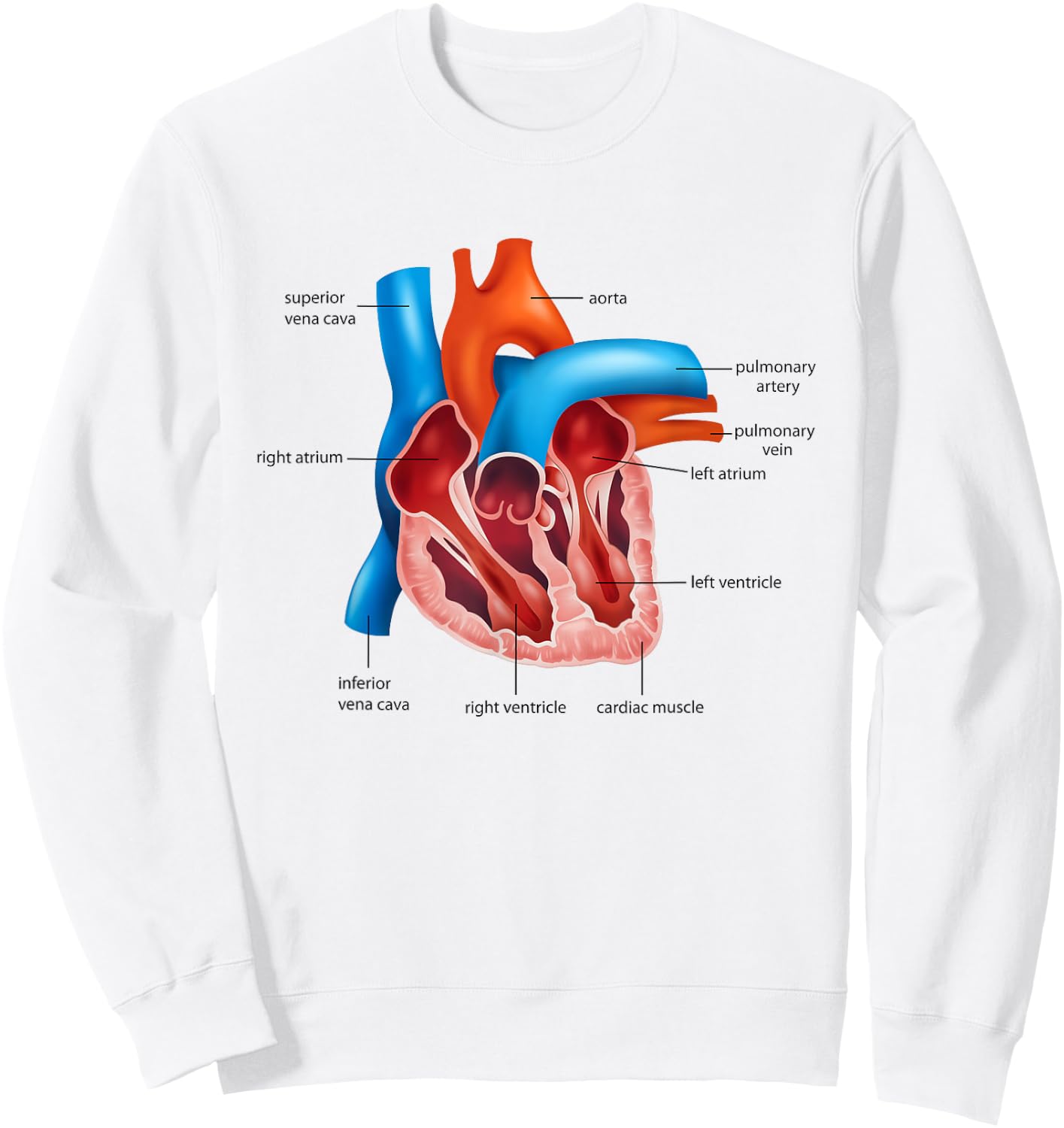 Funny Human Heart Anatomy Anatomical Heart Sweatshirt - Sweatshirt | White