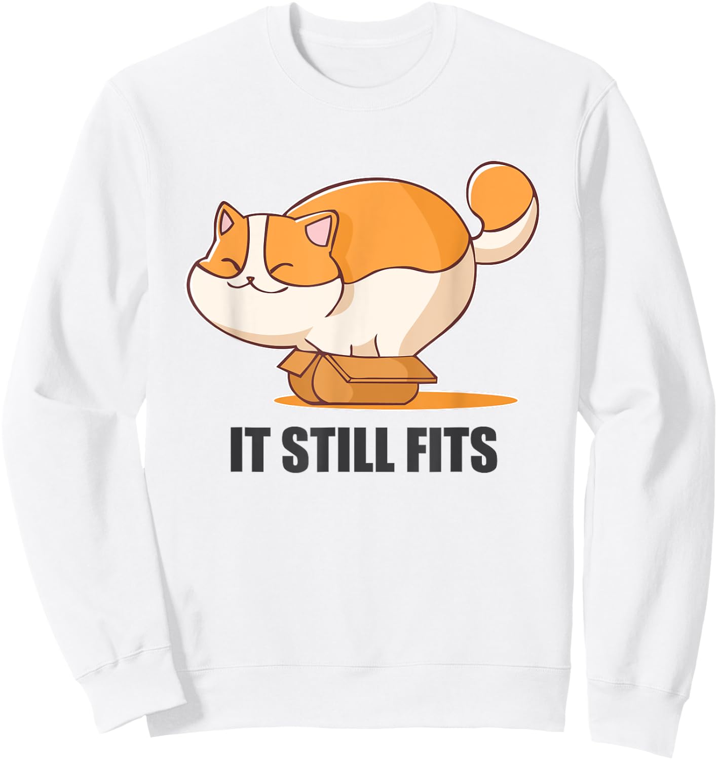 Cat In A Box Funny Fluffy Cat It Still Fits Shirt Sweatshirt - Sweatshirt | White