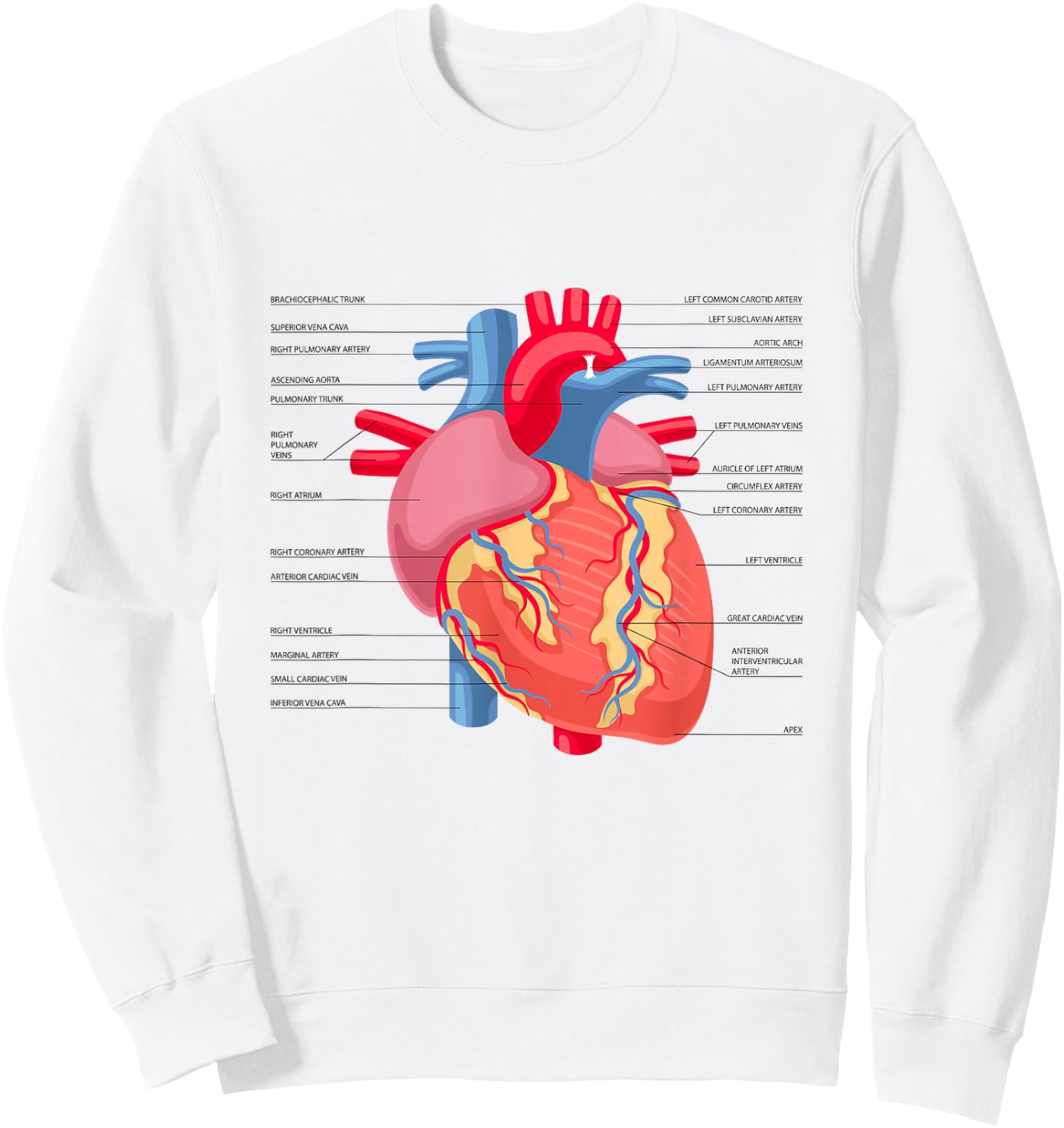Funny Human Heart Anatomy Anatomical Heart Sweatshirt - Sweatshirt | White