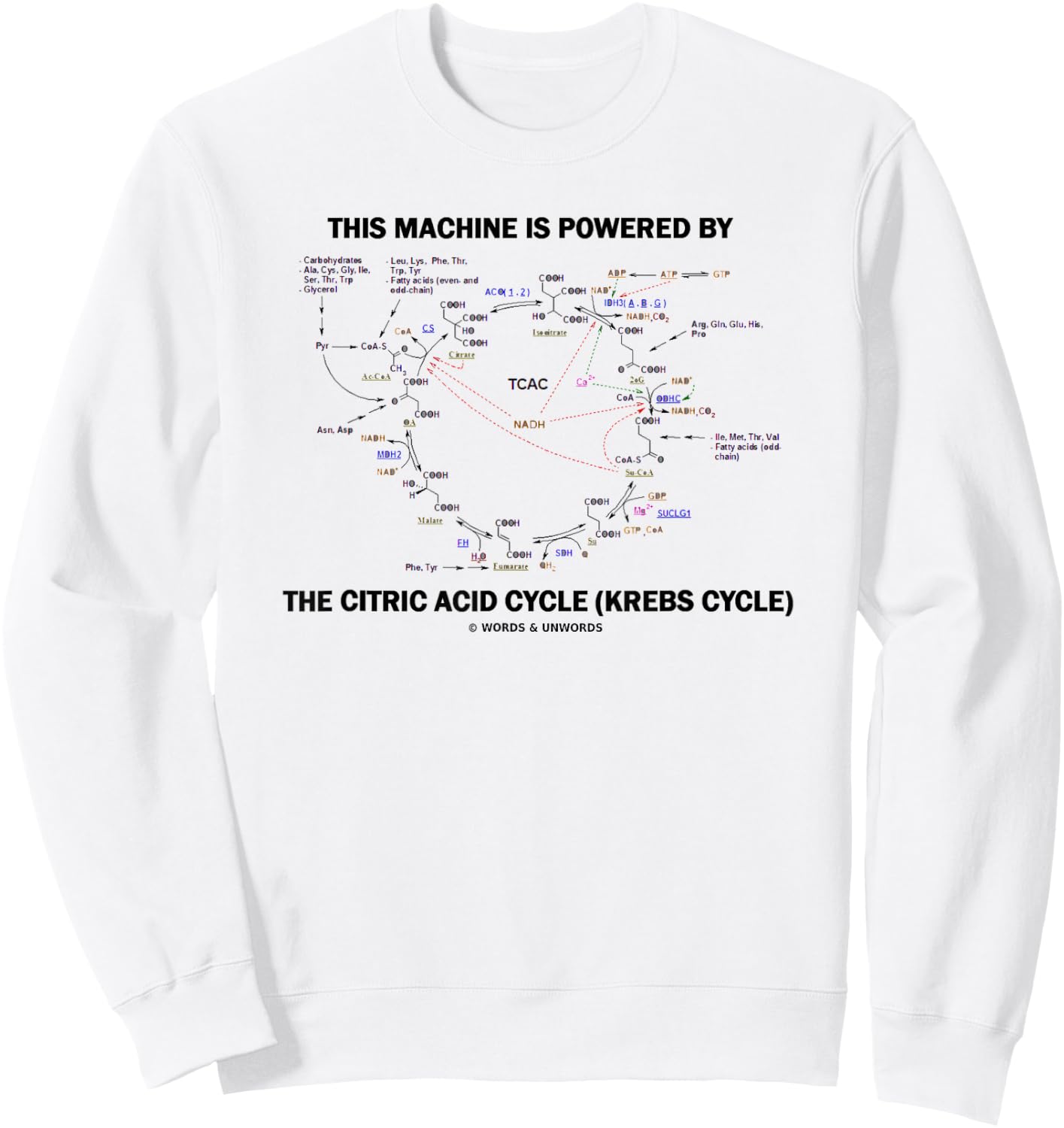 This Machine Is Powered By The Citric Acid Cycle Krebs Cycle Sweatshirt - Sweatshirt | White