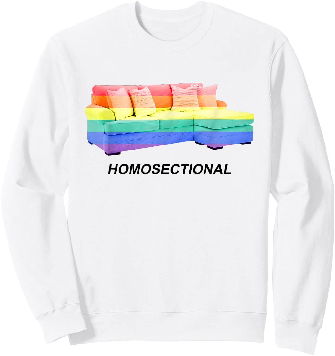 Homosectional LGBT Gay Pride Rainbow Flag Funny Saying Quote Sweatshirt - Sweatshirt | White