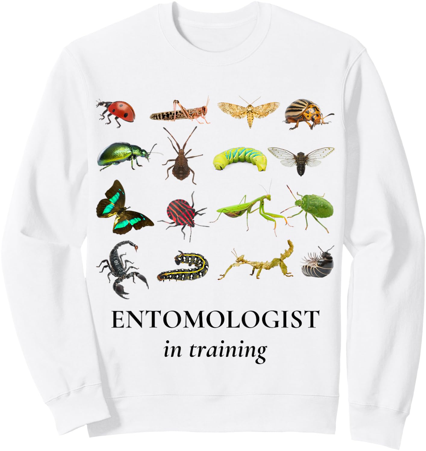 Bug Explorer Entomologist in Training Insects Kids Girl Boys Sweatshirt - Sweatshirt | White
