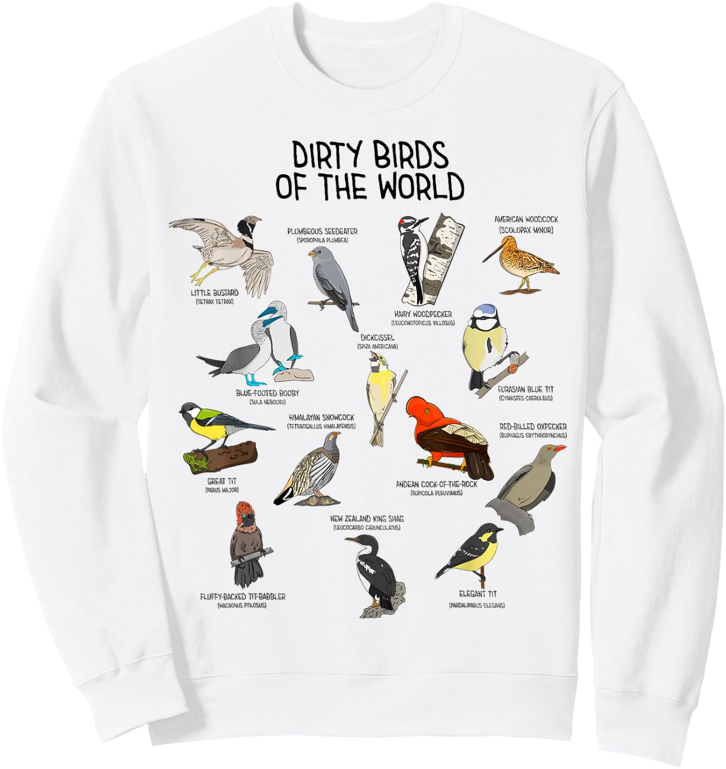 Bird Watching Dirty Birds Of The World Funny Birding Sweatshirt - Sweatshirt | White