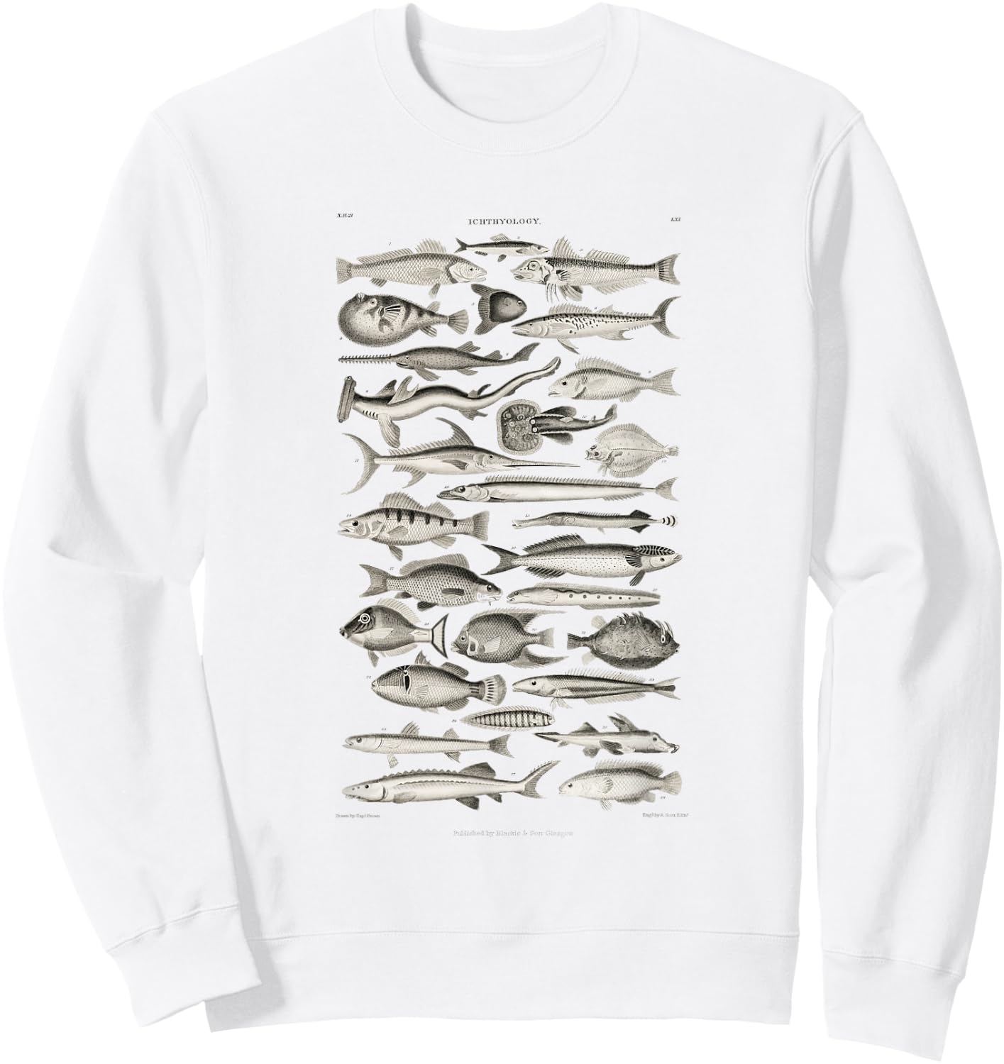 Ichthyology Fishes History Earth And Nature Sea Antique Art Sweatshirt - Sweatshirt | White
