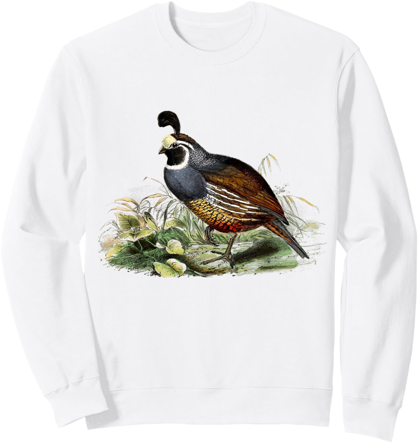 California Quail CA Quail Birder California Quail Sweatshirt - Sweatshirt | White