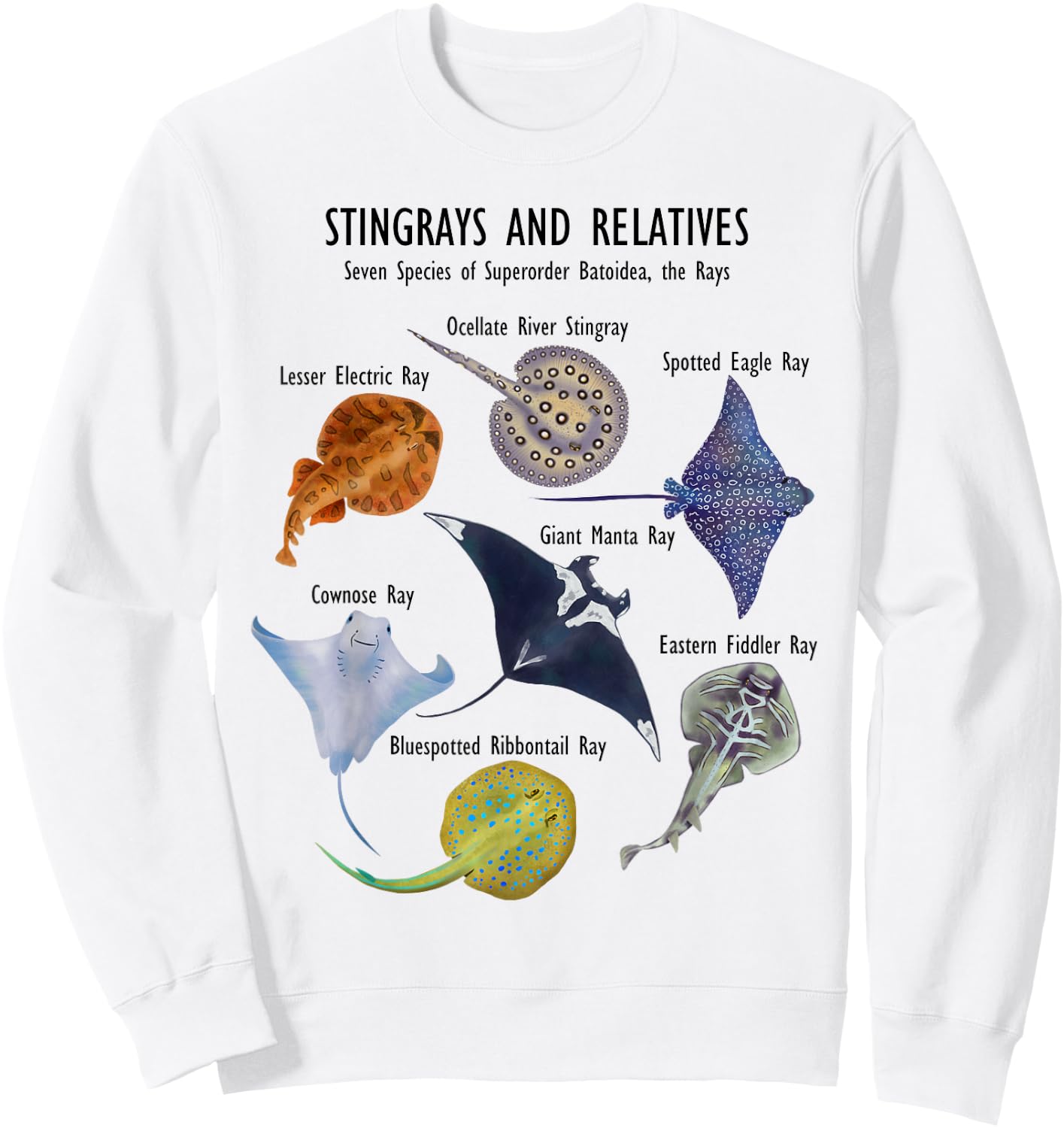 Stingray Species: Manta Ray, River Stingray, and More Sweatshirt - Sweatshirt | White