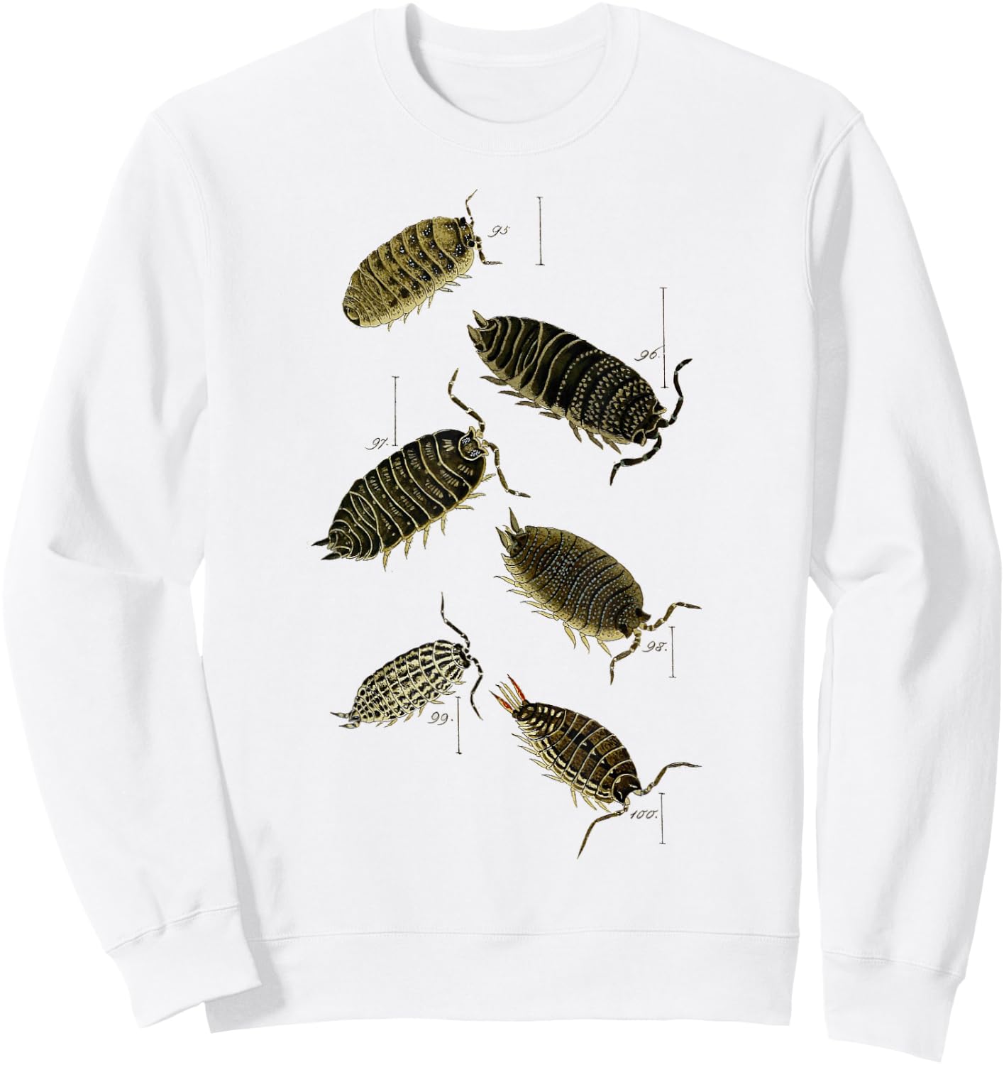 Pill Bug Porcellio scaber woodlice sowbugs Sweatshirt - Sweatshirt | White