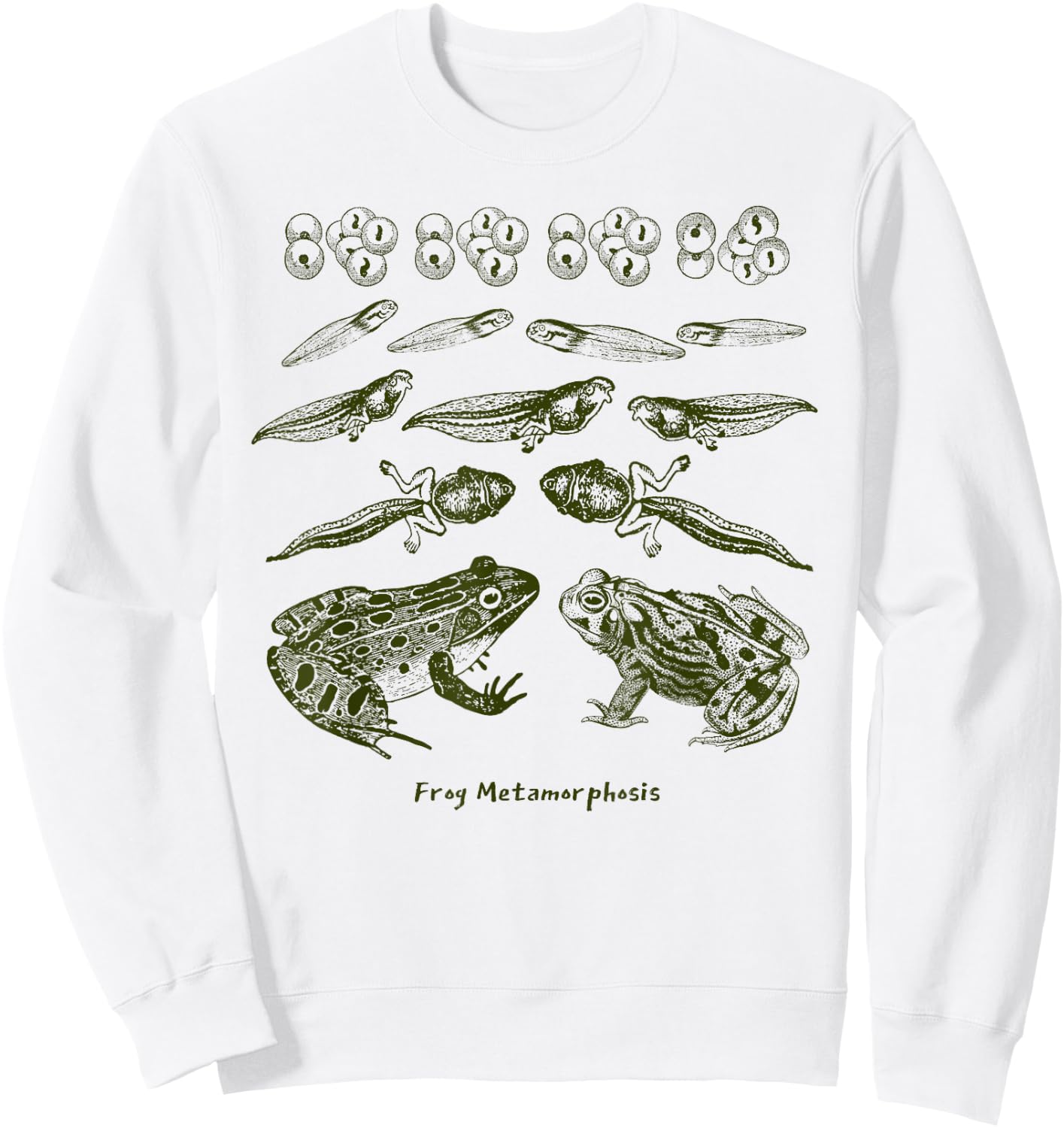 Frog Tadpole Life Cycle Metamorphosis Biology Science Sweatshirt - Sweatshirt | White