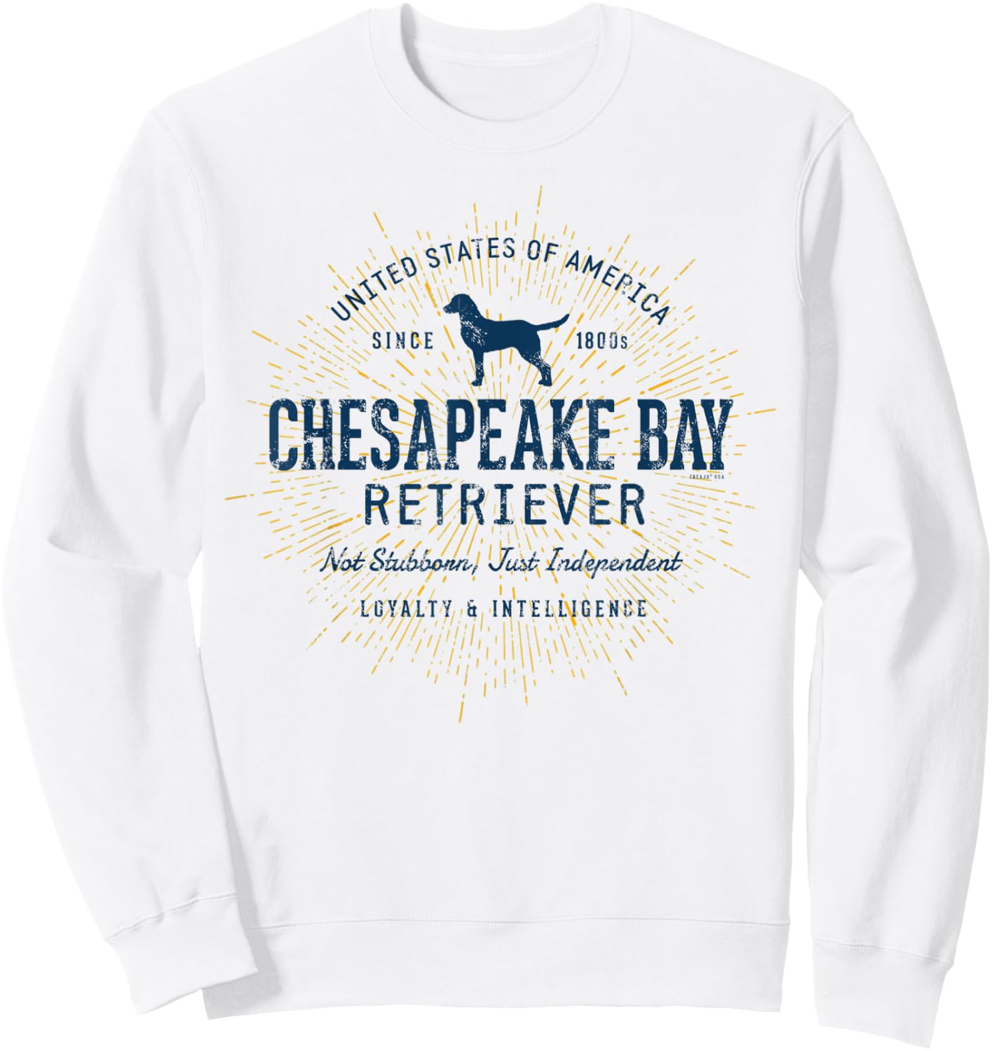 Chessie Dog Vintage Style Retro Chesapeake Bay Retriever Men Women Kids Sweatshirt - Sweatshirt | White