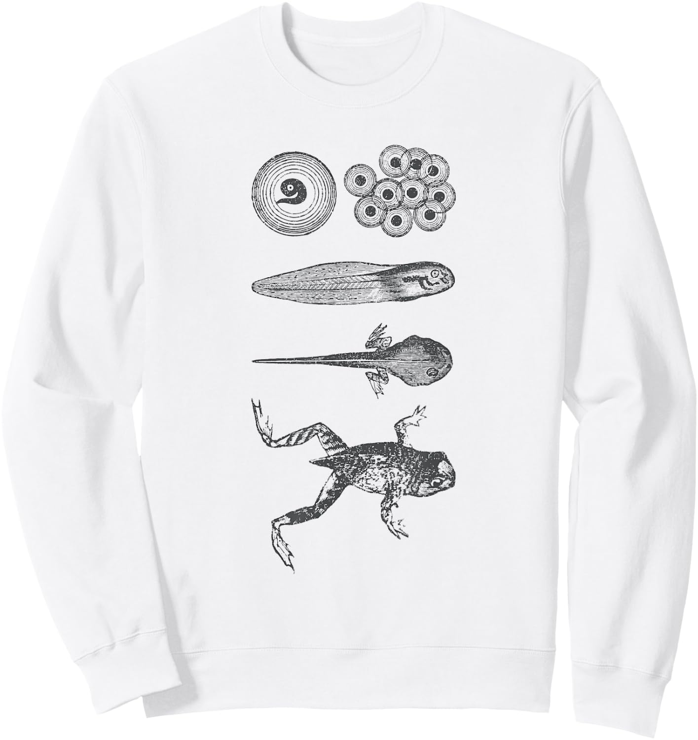 Frog Tadpole Metamorphosis Life Cycle Biology Sweatshirt - Sweatshirt | White