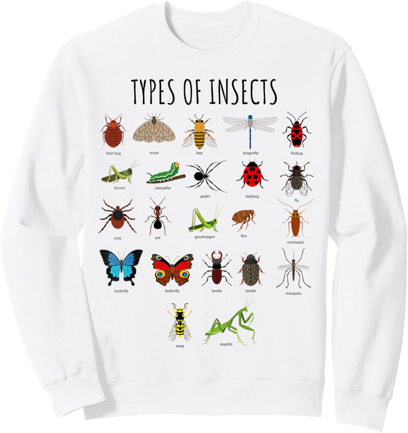 Kids Types of Insects Bug Identification Science Sweatshirt - Sweatshirt | White