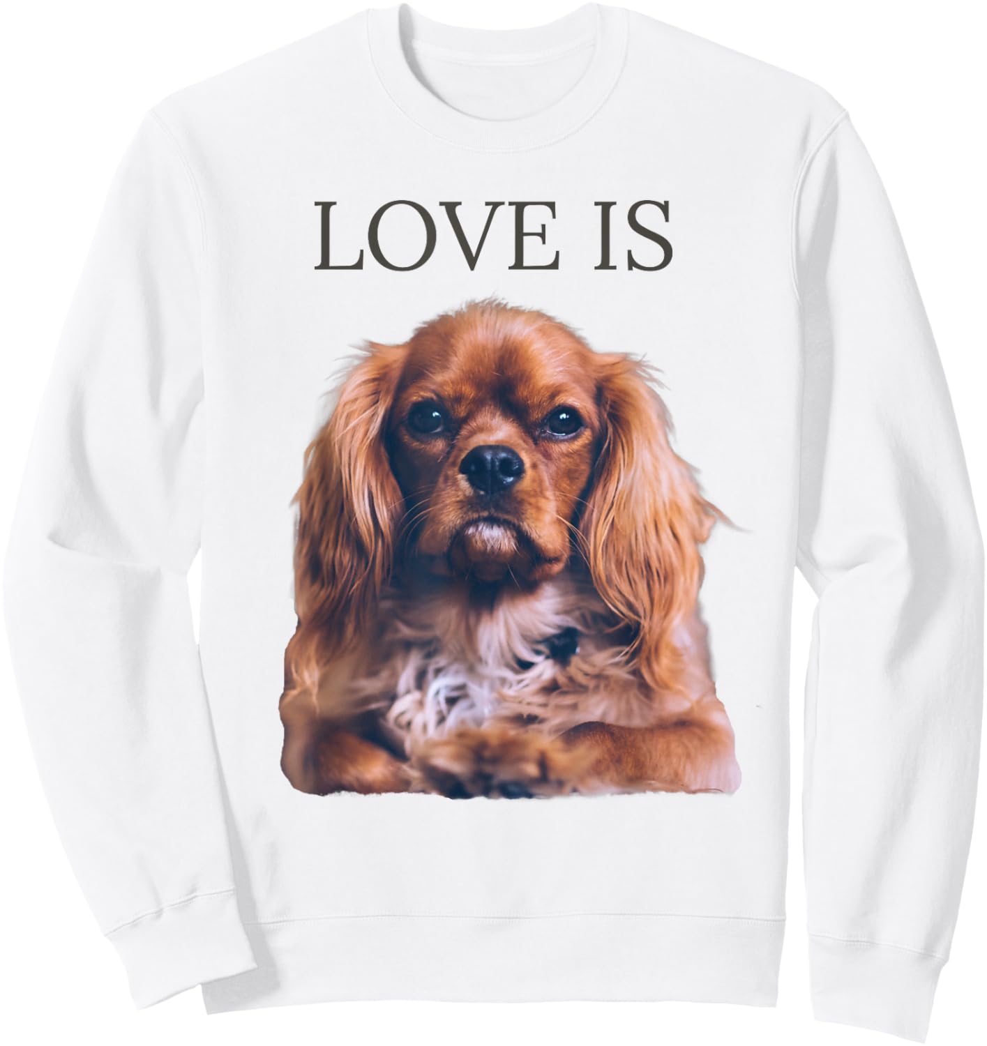 Cavalier King Charles Spaniel Shirt Men Women Dog Mom Dad Sweatshirt - Sweatshirt | White