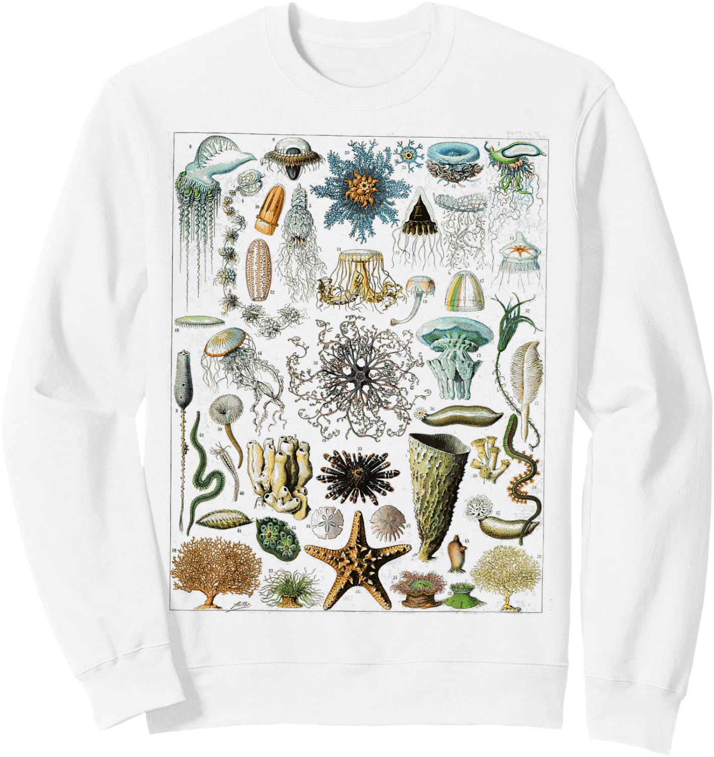 Oceanography Ocean Zoology biologists sailing Sweatshirt - Sweatshirt | White