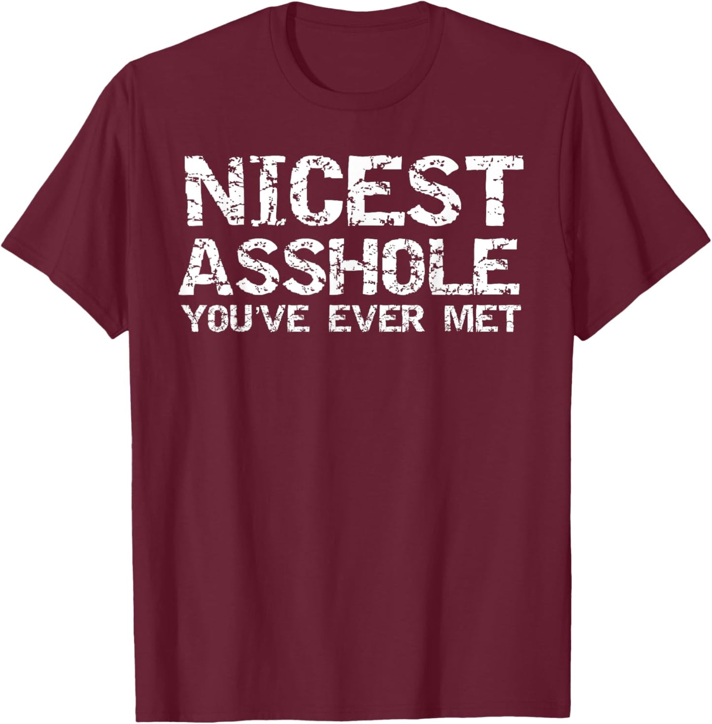 Funny Jerk Gift Fun Gag Joke Nicest Asshole You've Ever Met T-Shirt - T-Shirt | Maroon