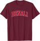 Denali National Park Vintage Sports Design Red Design T-Shirt - T-Shirt | Maroon
