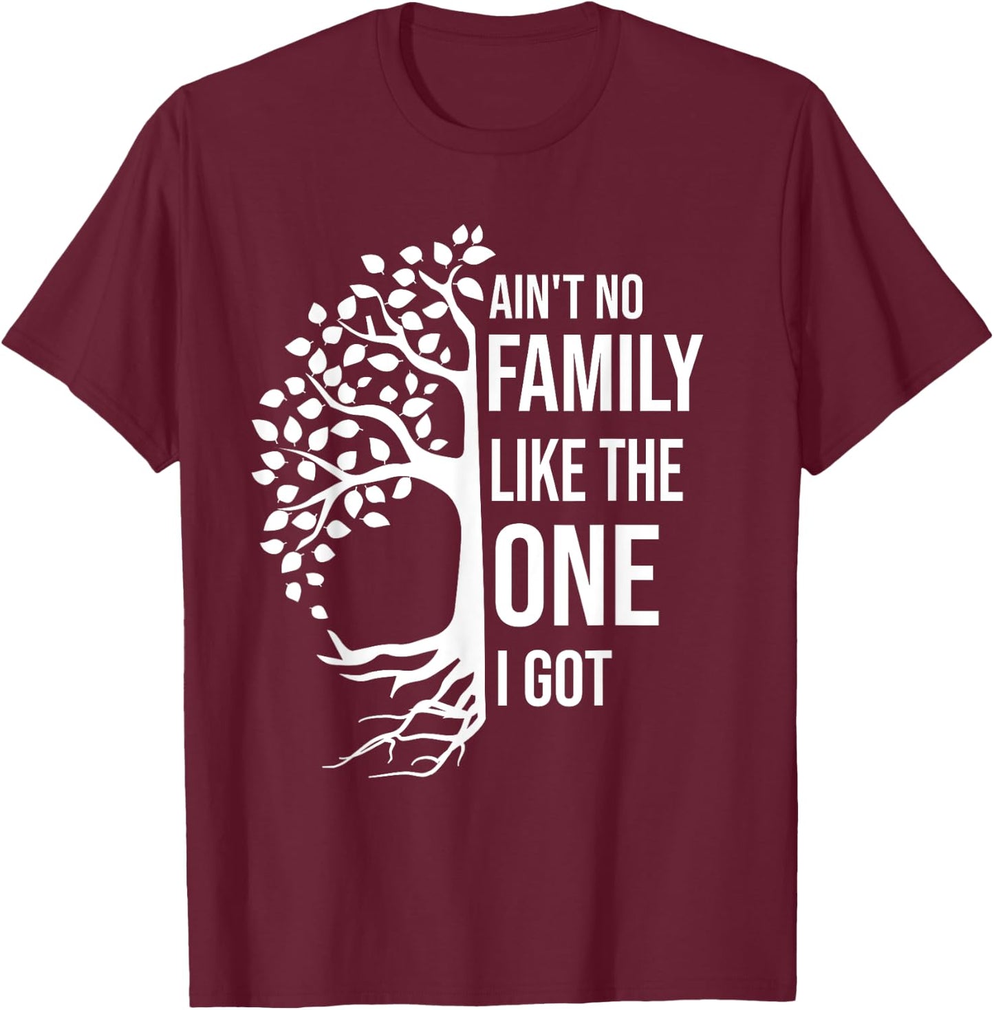 Ain't No Family Like The One I Got Funny Family Reunion 2025 T-Shirt - T-Shirt | Maroon