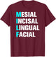 Dental Assistant and Hygienist Designs MILF Mesial Incisal Lingual Facial - Funny Dentist Adult Women's T-Shirt - T-Shirt | Maroon