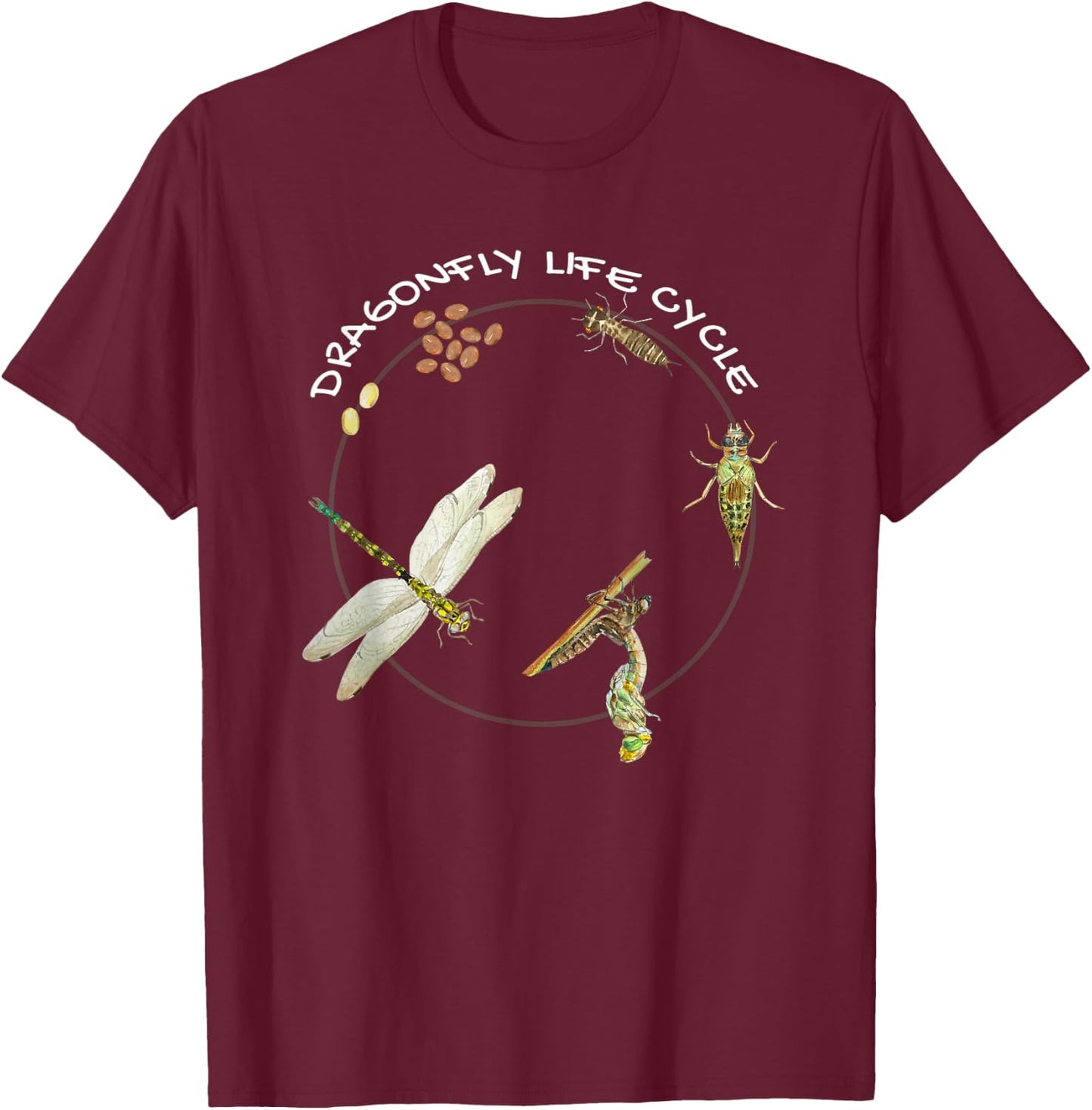 Dragonfly Life Cycle Facts 3 Stages Insect Development T-Shirt - T-Shirt | Maroon