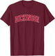Dickinson Texas TX Vintage Sports Design Red Design T-Shirt - T-Shirt | Maroon