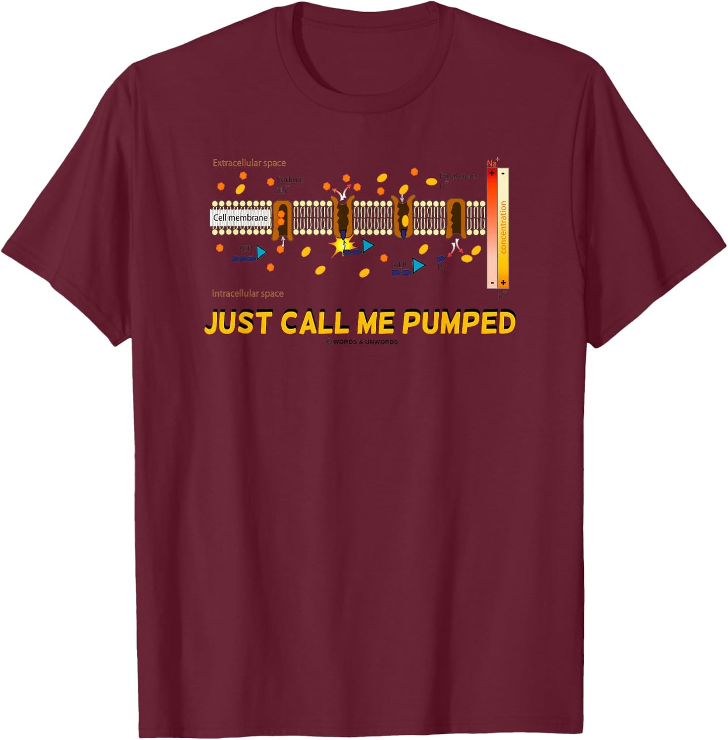 Just Call Me Pumped Sodium-Potassium Pump Active Transport T-Shirt - T-Shirt | Maroon